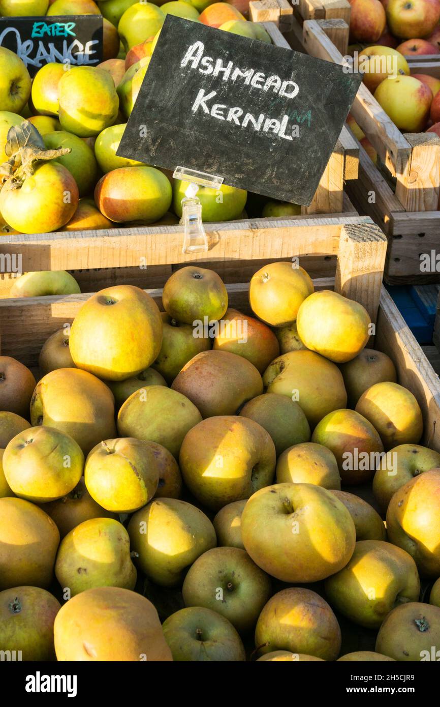 Boxes of Ashmead's Kernel eating apples for sale at a Norfolk farm shop. Stock Photo