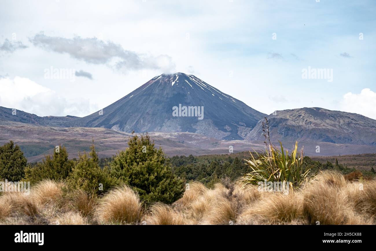 Mt Ngauruhoe or Mt Doom from Lord of the Rings, New zealand Stock Photo
