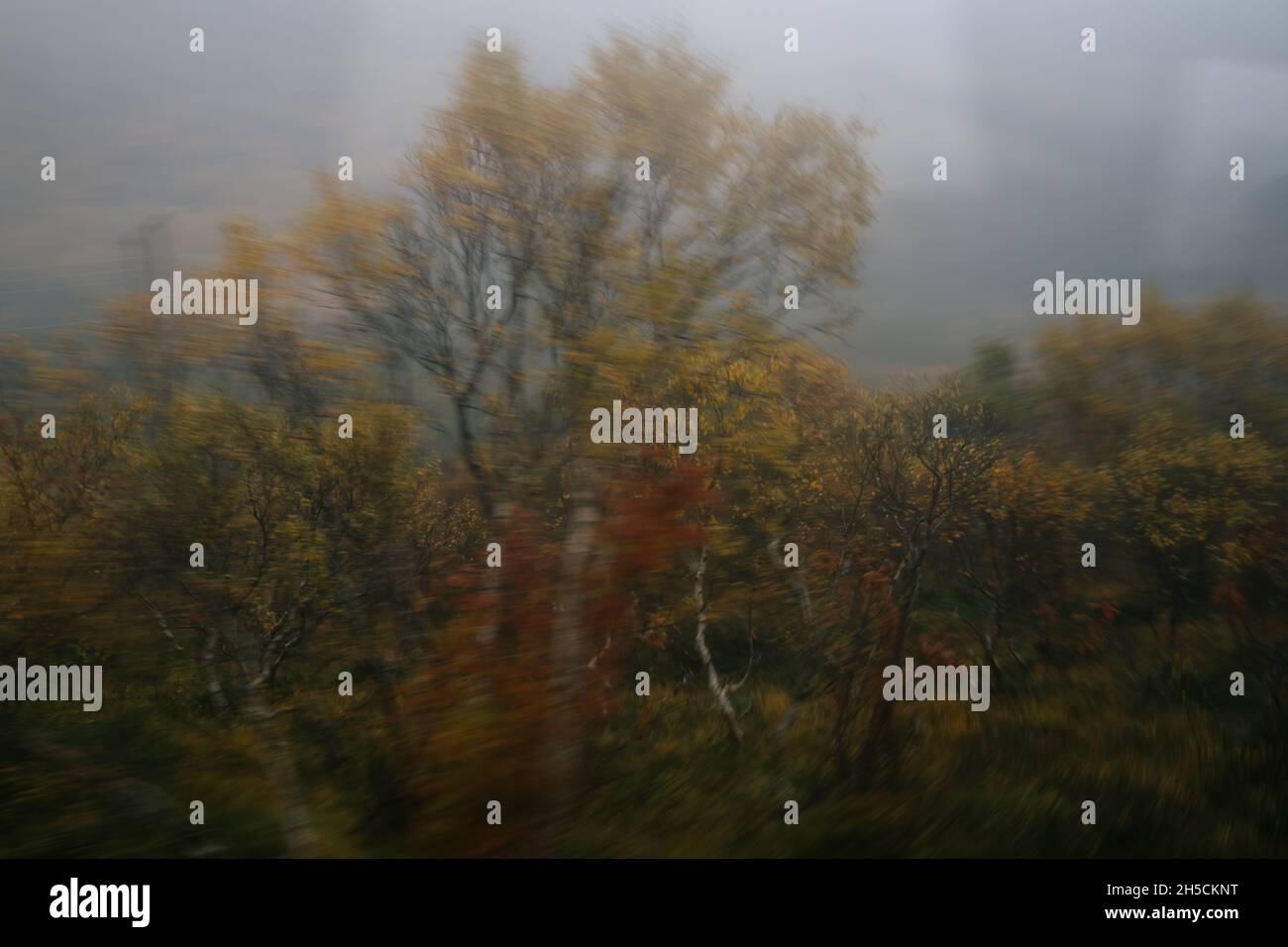 picture of colorful autumn scenery Stock Photo - Alamy