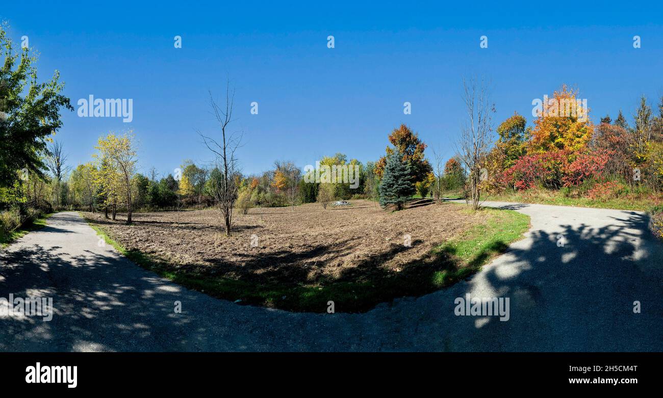 Tree Surrounded Pond surrounded trees nature landscape hi-res stock photography and ...