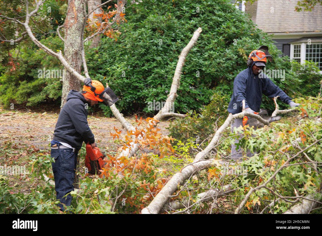 A worker cleaning up storm damage on Cape Cod Stock Photo