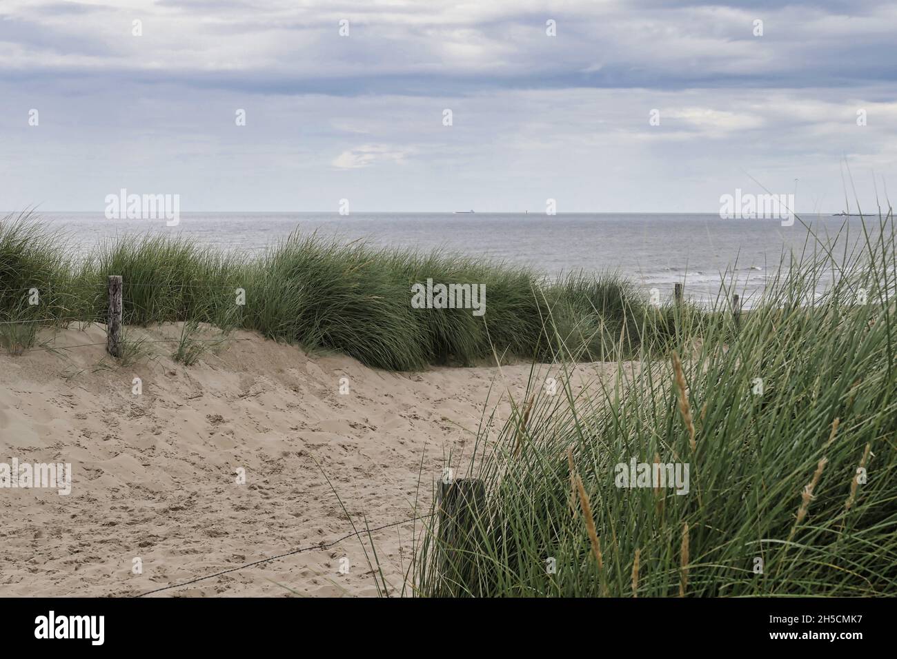 Bilder Holland Strand Nordsee Fotos Stock Photo