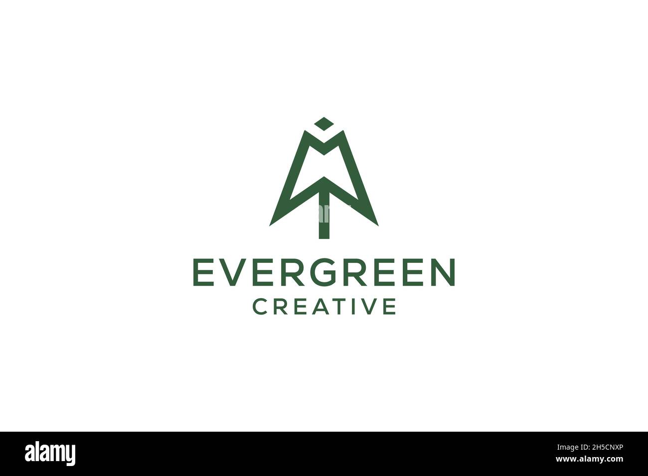 Letter M pine evergreen. fir hemlock spruce conifer cedar coniferous ...