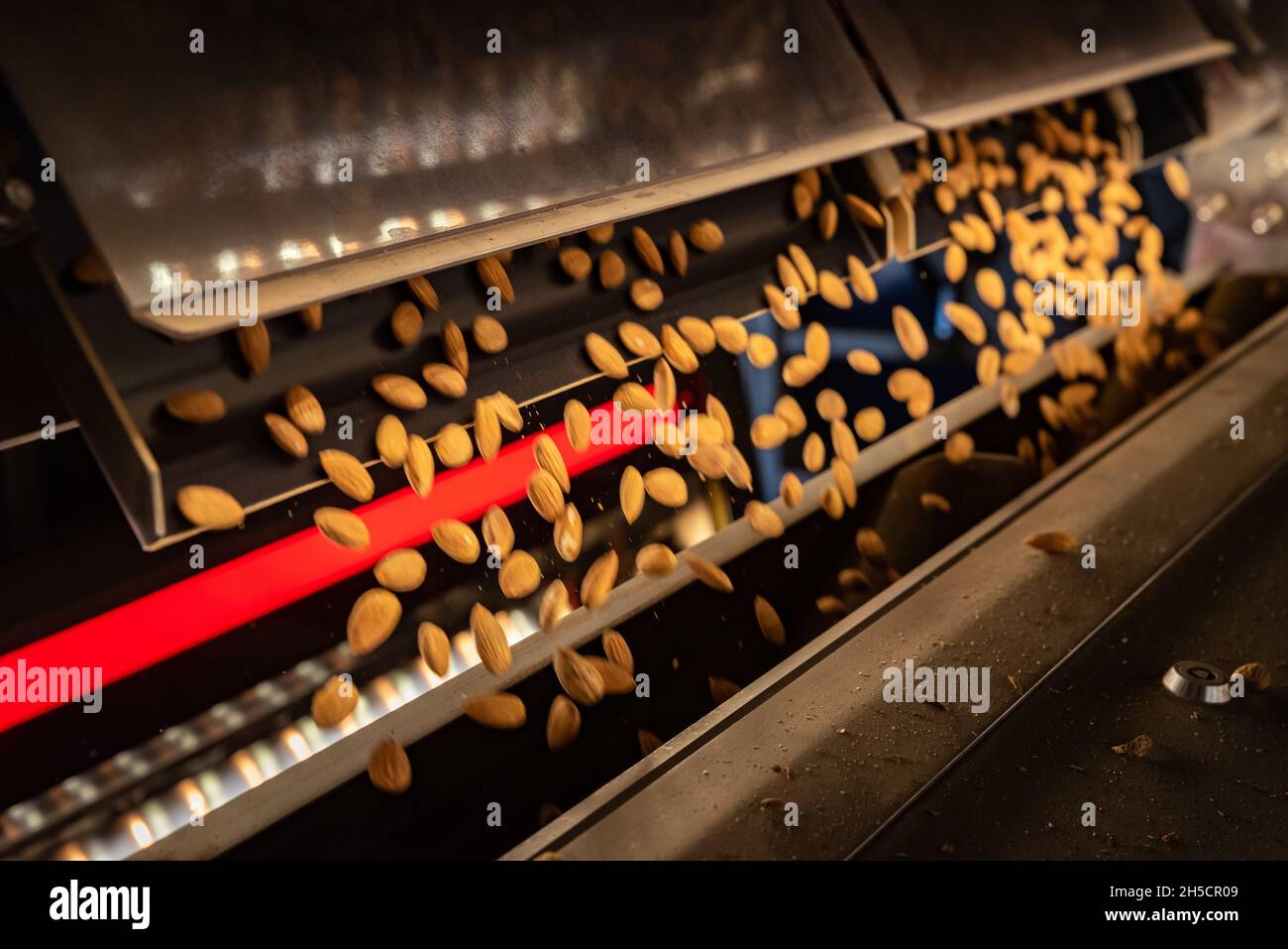 Photo of raw almonds flying off machinery at a farm in the Capay Valley area of California. Stock Photo