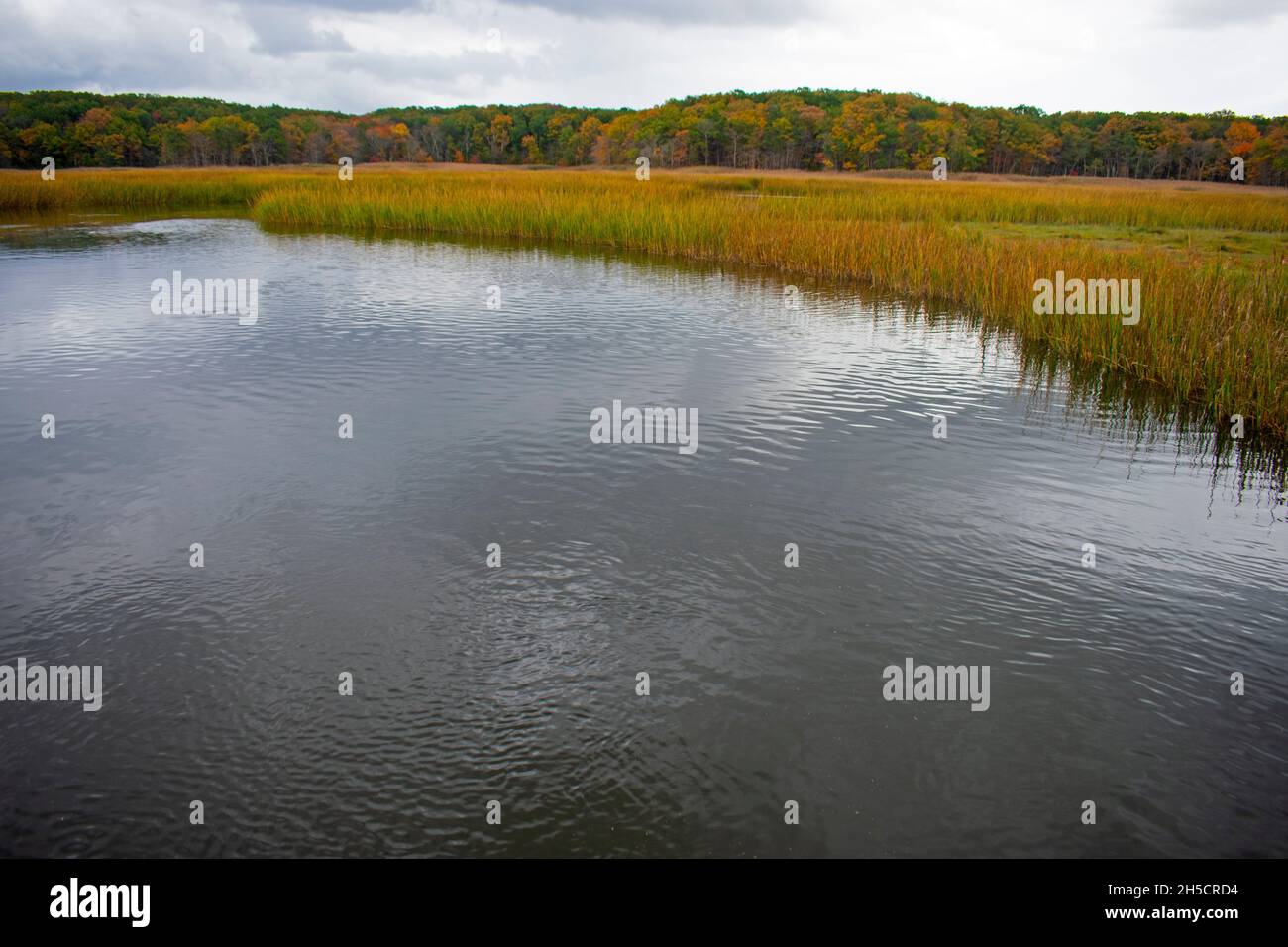 Hooks Creek by the crabbing bridga at Cheesequake State Park, showing