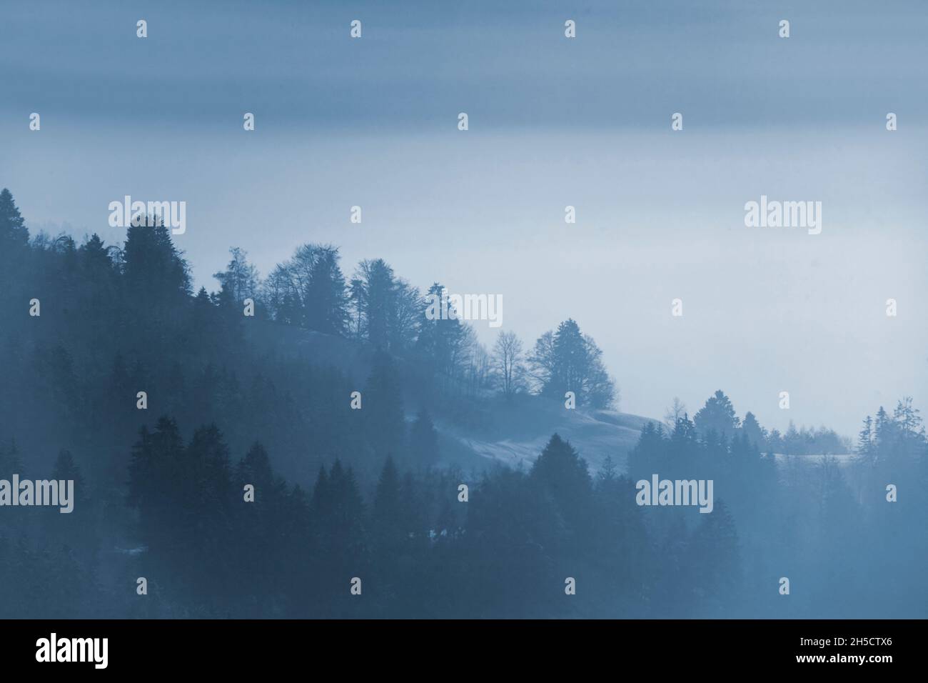 looking from a mountain into the misty valley, Germany, Bavaria Stock Photo