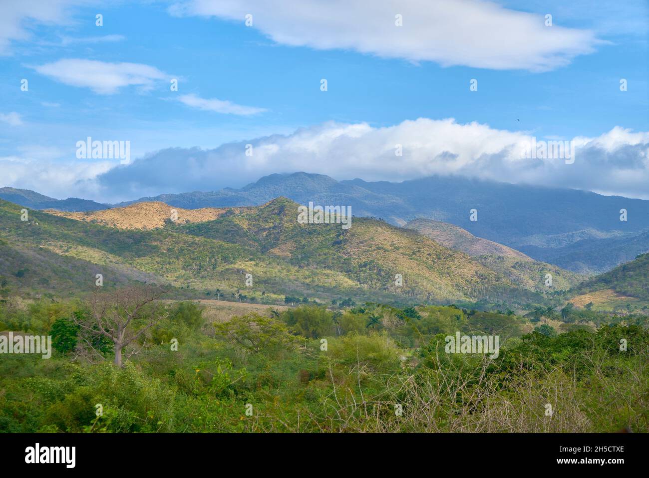 Landscape at the Valley des los Ingenios with formerly densely forested and nowadays deforested hills, Cuba, Valley de los Ingenios Stock Photo
