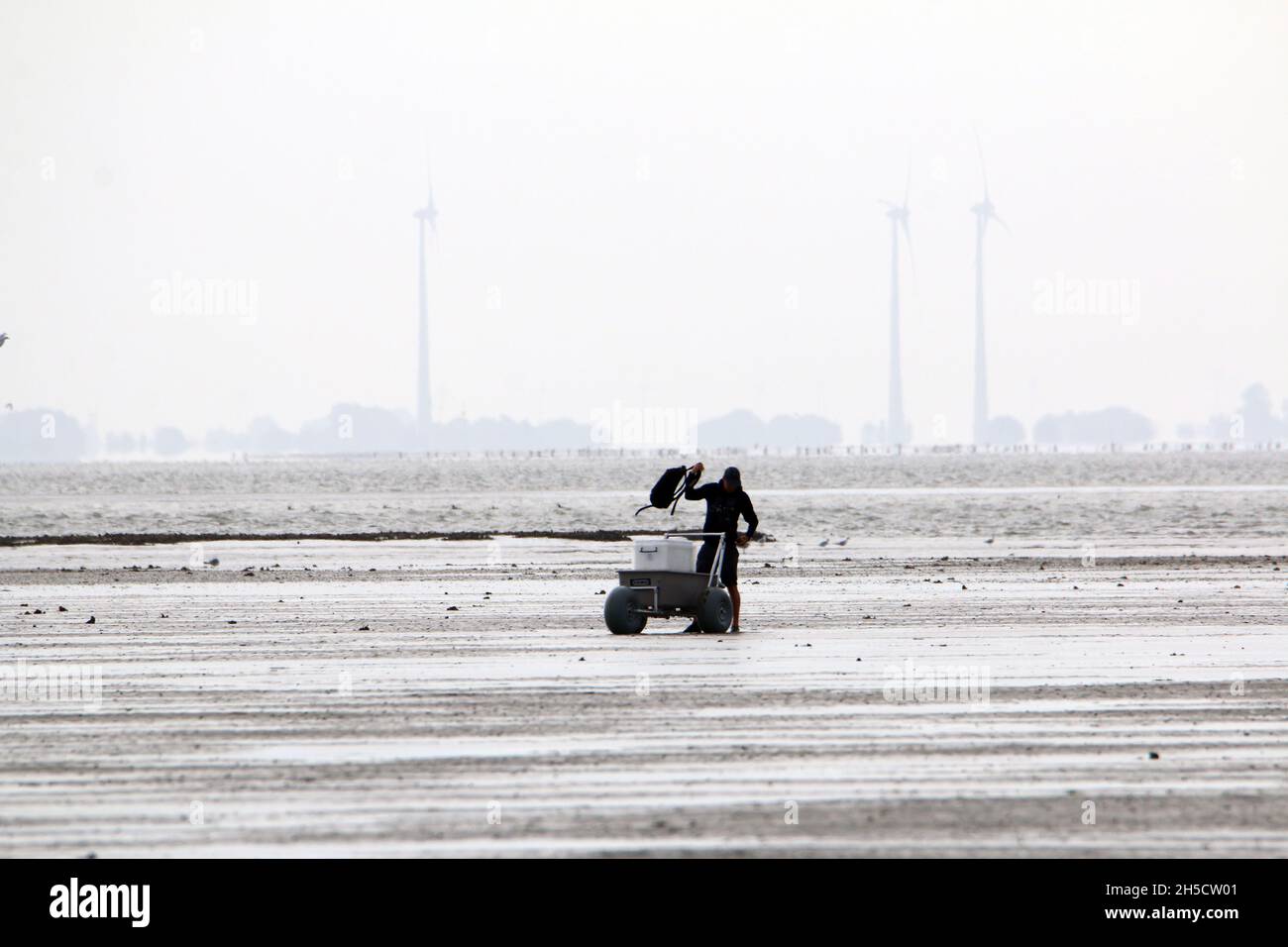 birdwatcher with trolley in the wadden sea, wind turbines in the background, Germany, Lower Saxony Wadden Sea National Park Stock Photo