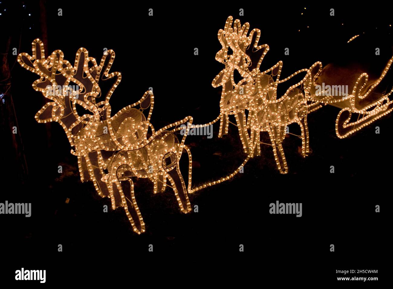 illuminated reindeer sleigh in the dark, Christmas lights , Germany Stock Photo