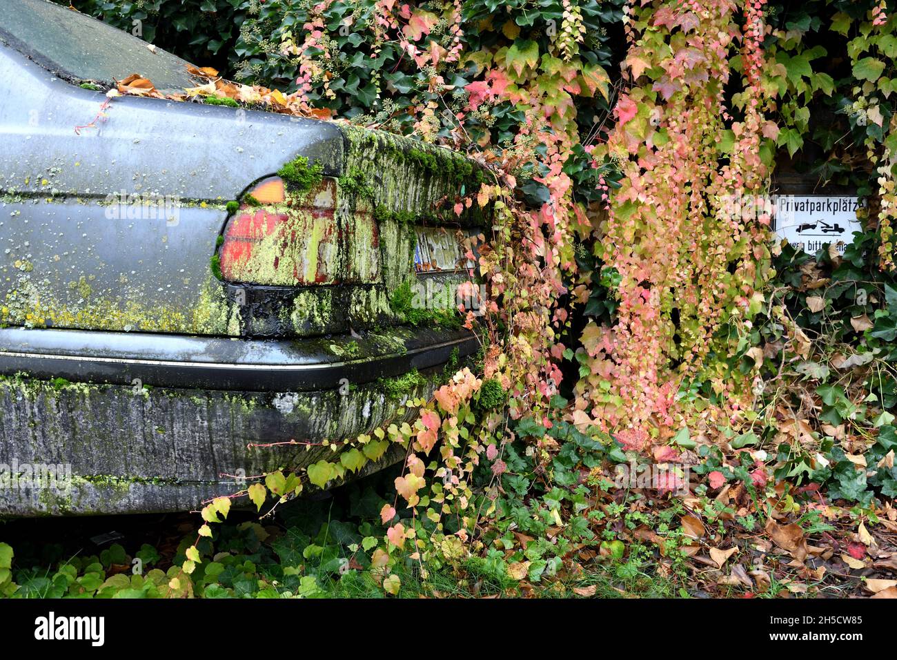 overgrown car, 'leave the car standing still from time to time' Stock Photo