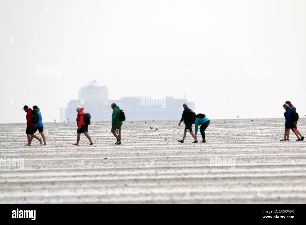 tidal flat hikers, ship in dust in the background, Germany, Lower Saxony Wadden Sea National Park Stock Photo