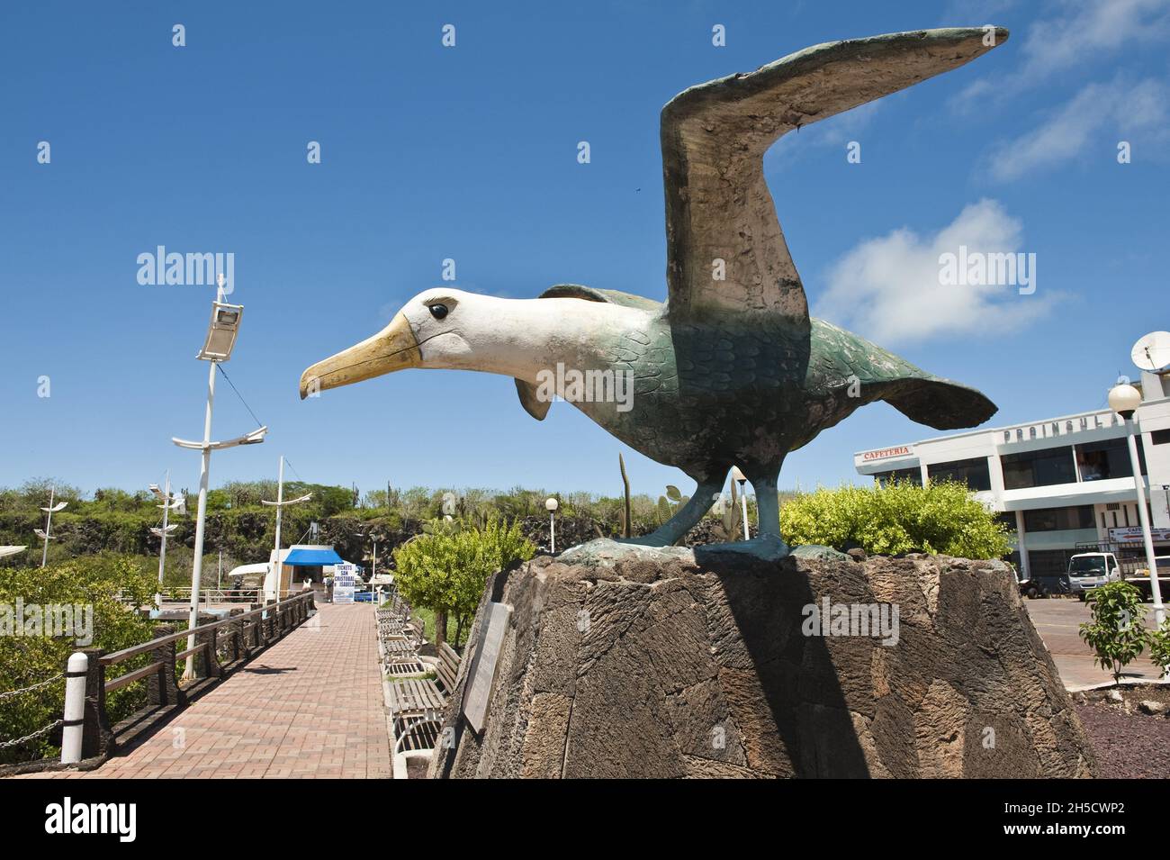 Albatross sculpture hi-res stock photography and images - Alamy