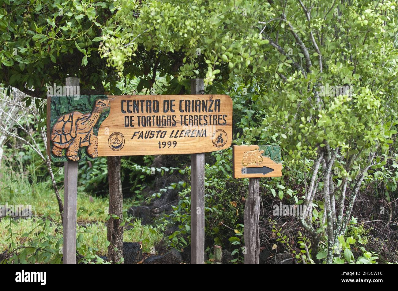 Charles Darwin Research Station, Galapagos National Park, Ecuador