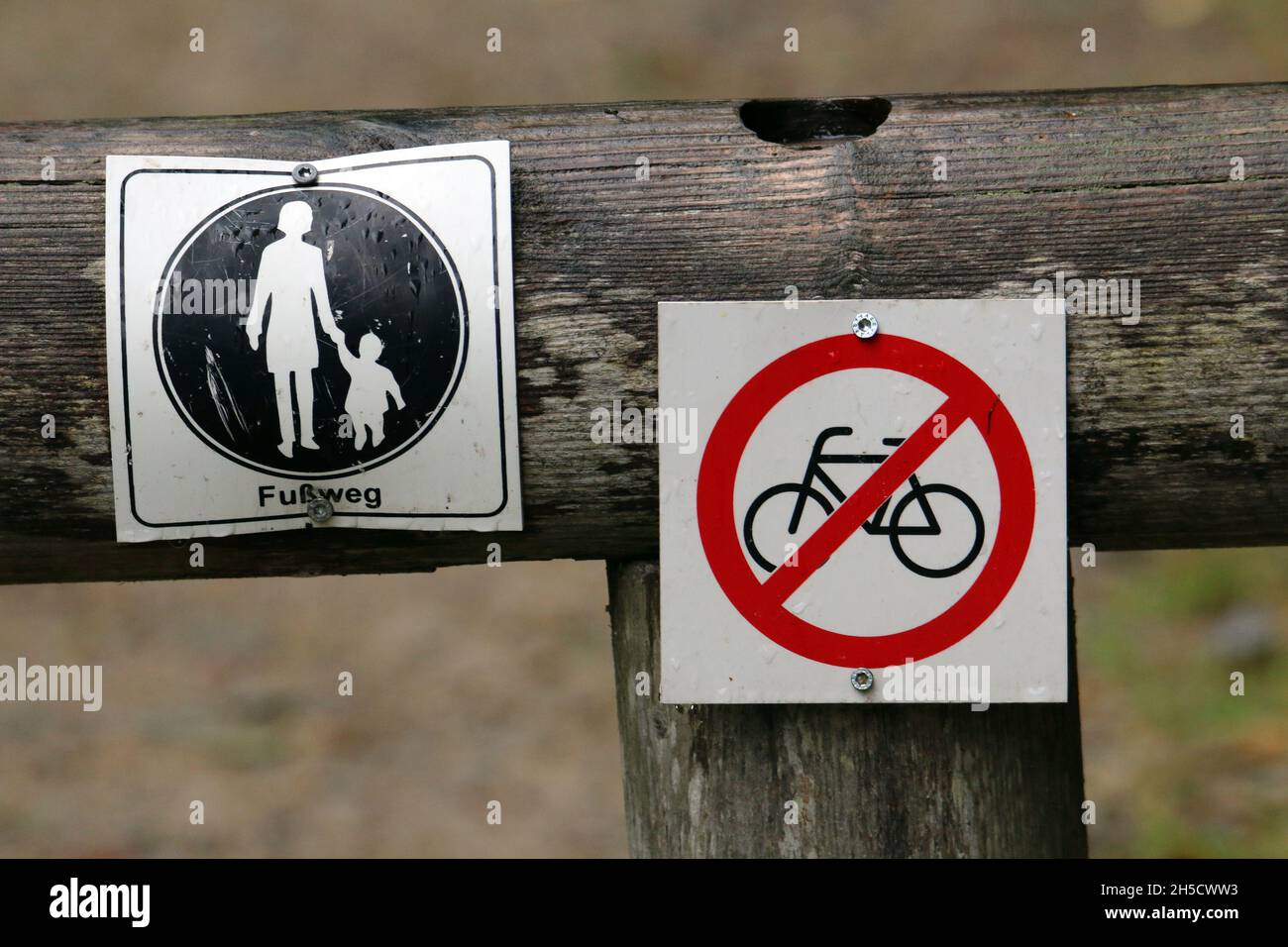 Sign for walkway and prohibition sign for cyclists - routing in forest, Germany Stock Photo