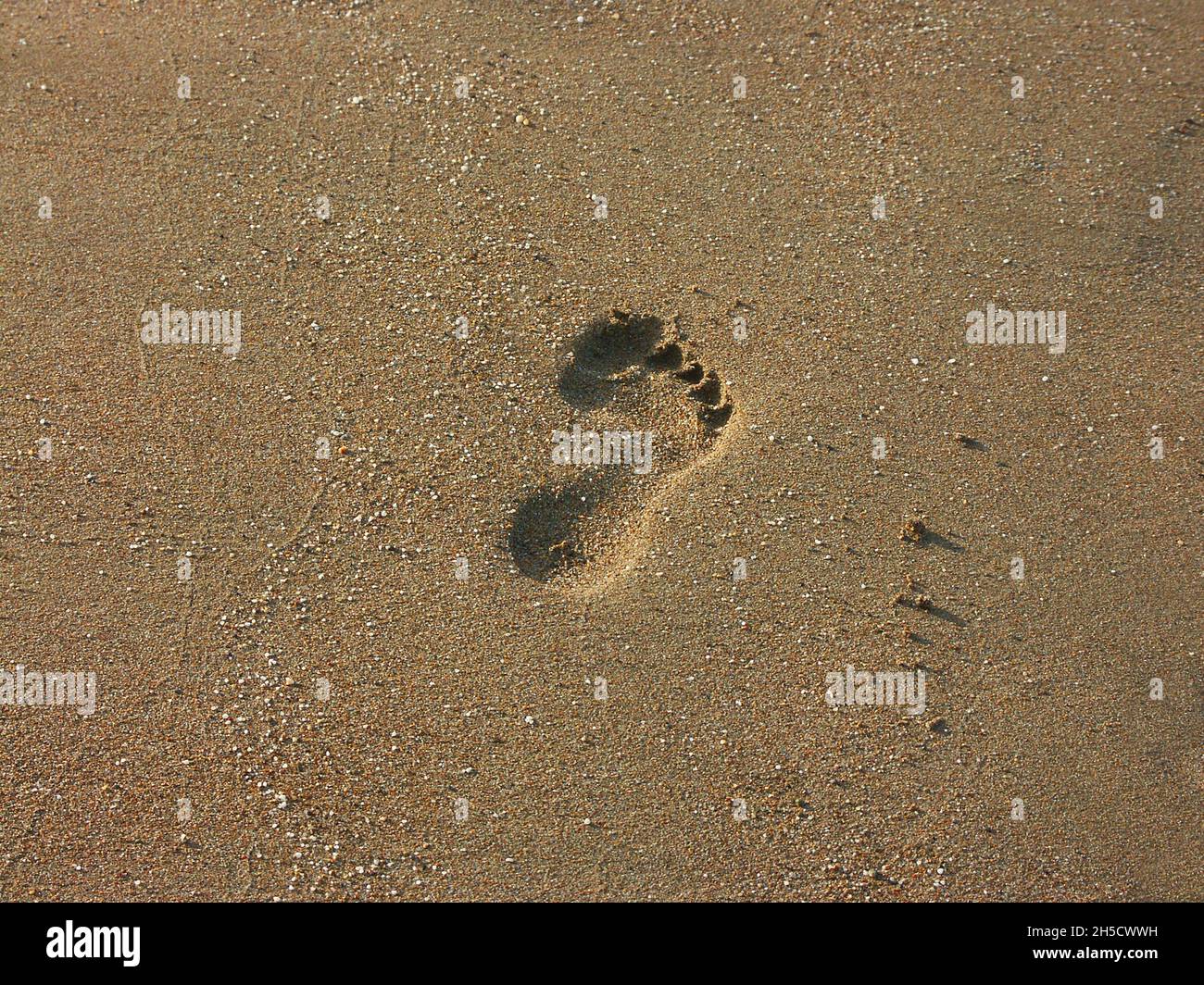 footprint in the sand , United Arab Emirates, Dubai Stock Photo