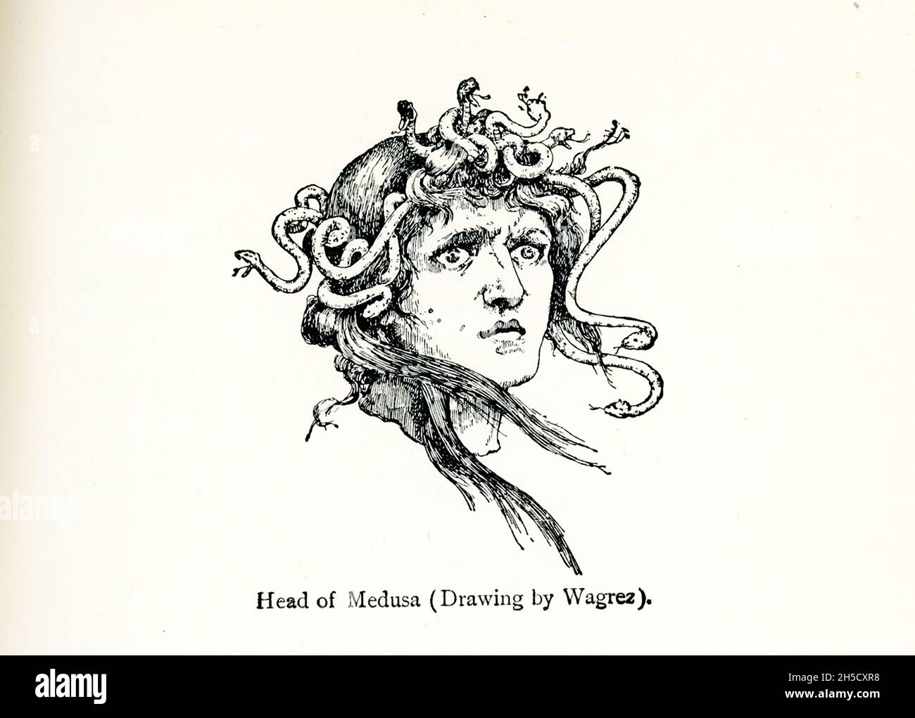 Ancient greek myth medusa hi-res stock photography and images - Alamy Ancient greek myth medusa hi-res stock photography and images - Alamy