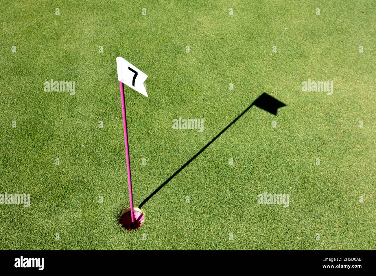 Hole marked with small flag at the mini golf area. Number flag on a