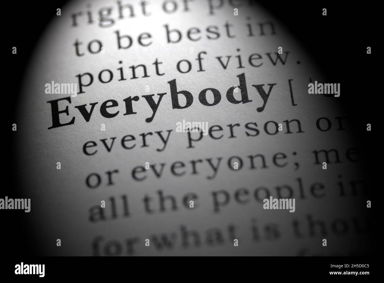 Fake Dictionary word, Dictionary definition of everybody Stock Photo ...