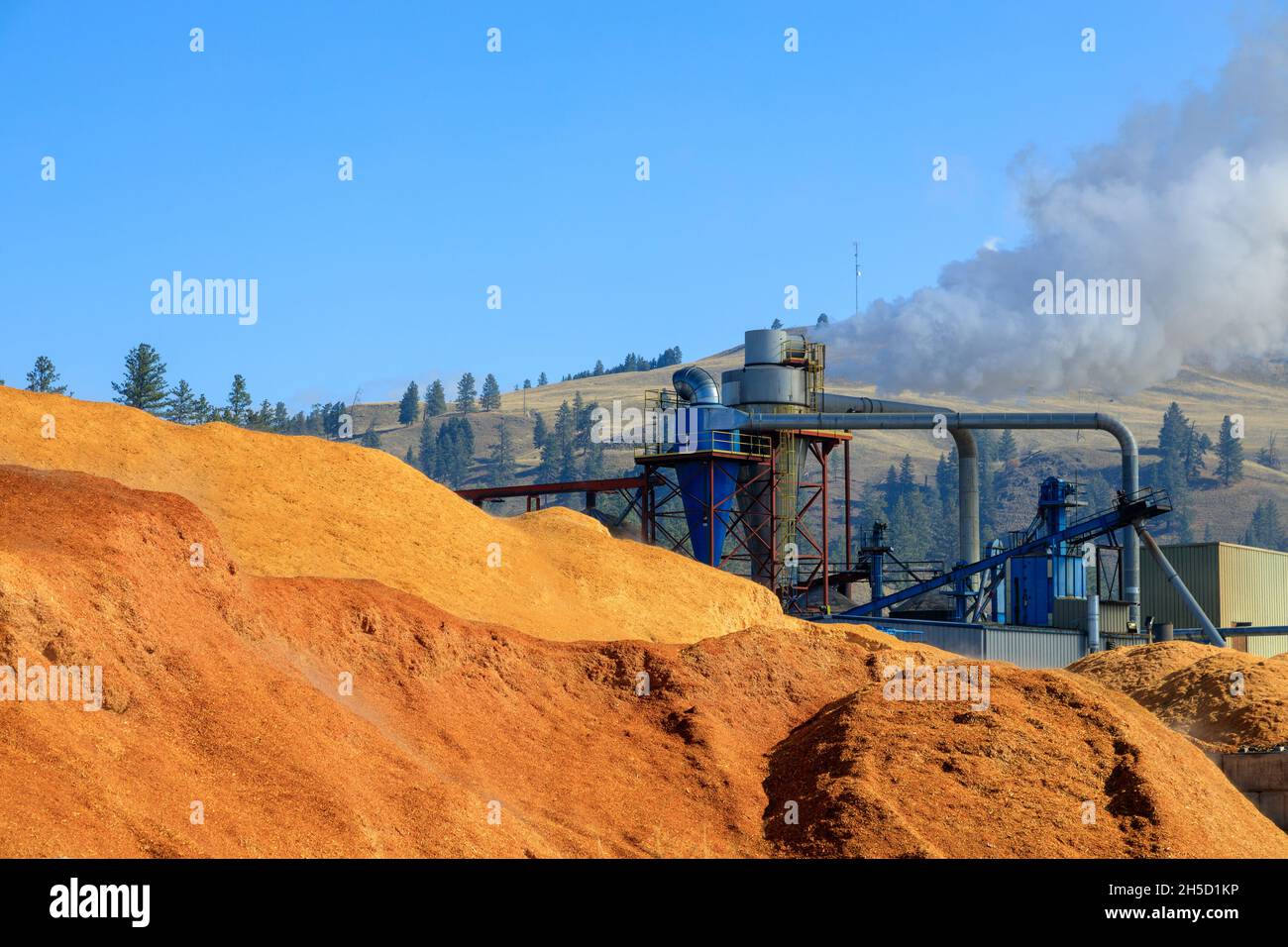 Piles of wood chips to be made into wood pellet fuel a byproduct of the lumber industry and a renewable resource. Stock Photo