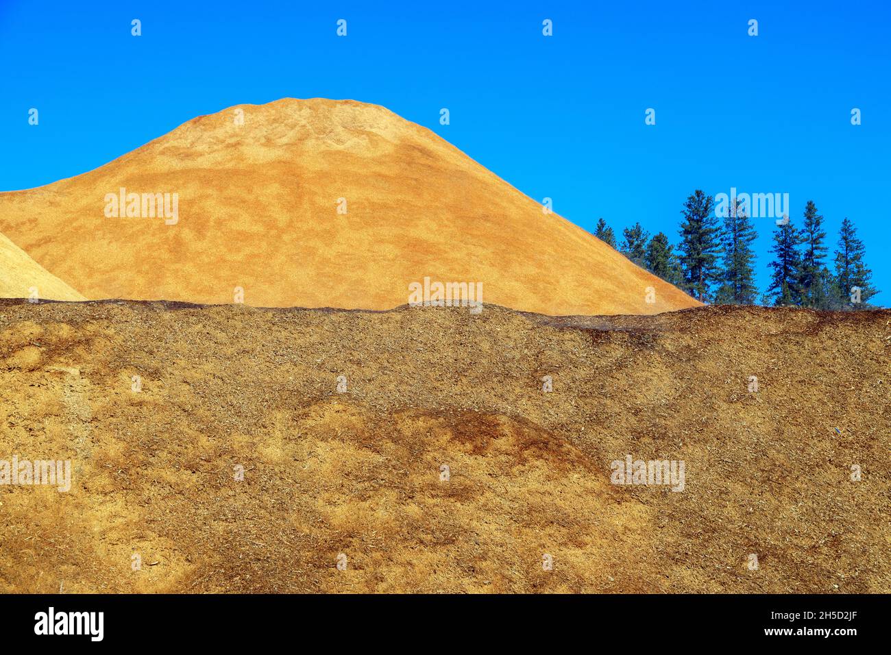 Piles of wood chips to be made into wood pellet fuel a byproduct of the