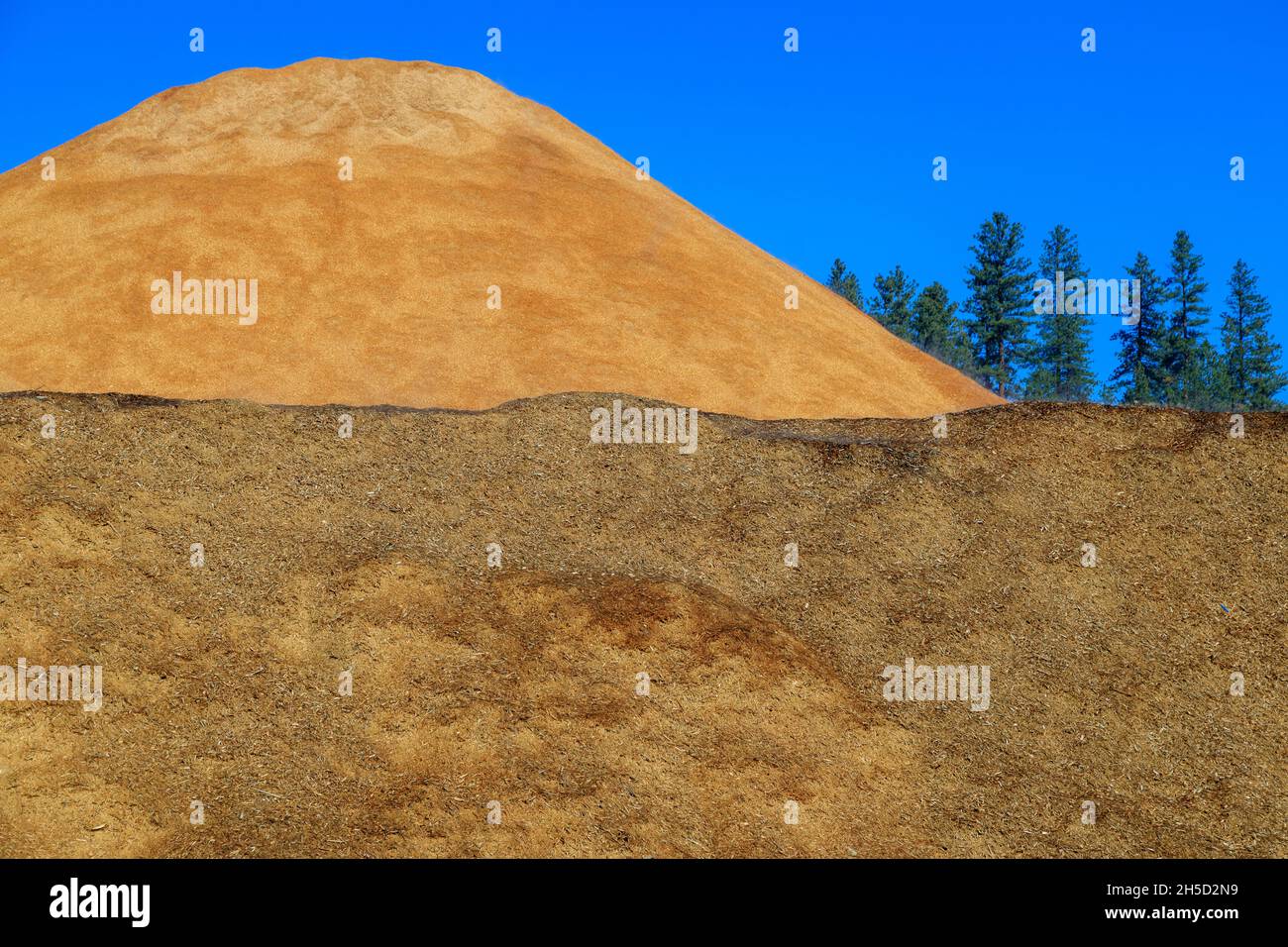 Piles of wood chips to be made into wood pellet fuel a byproduct of the