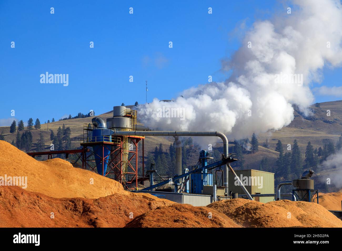 Piles of wood chips to be made into wood pellet fuel a byproduct of the