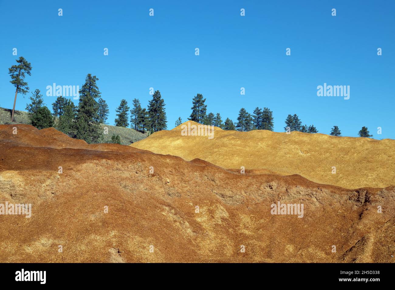 Piles of wood chips to be made into wood pellet fuel a byproduct of the