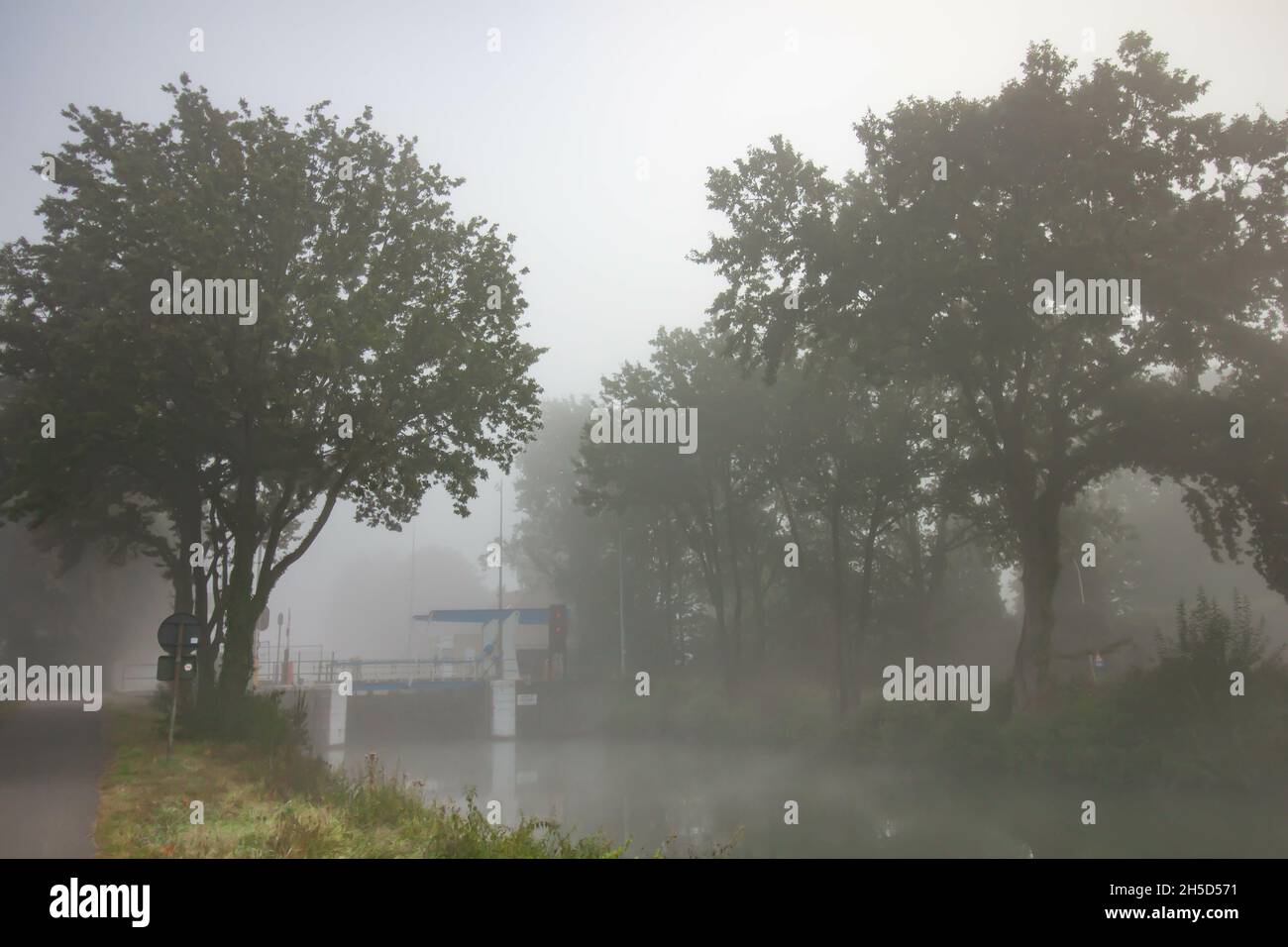 Empty park on cloudy foggy hi-res stock photography and images - Alamy