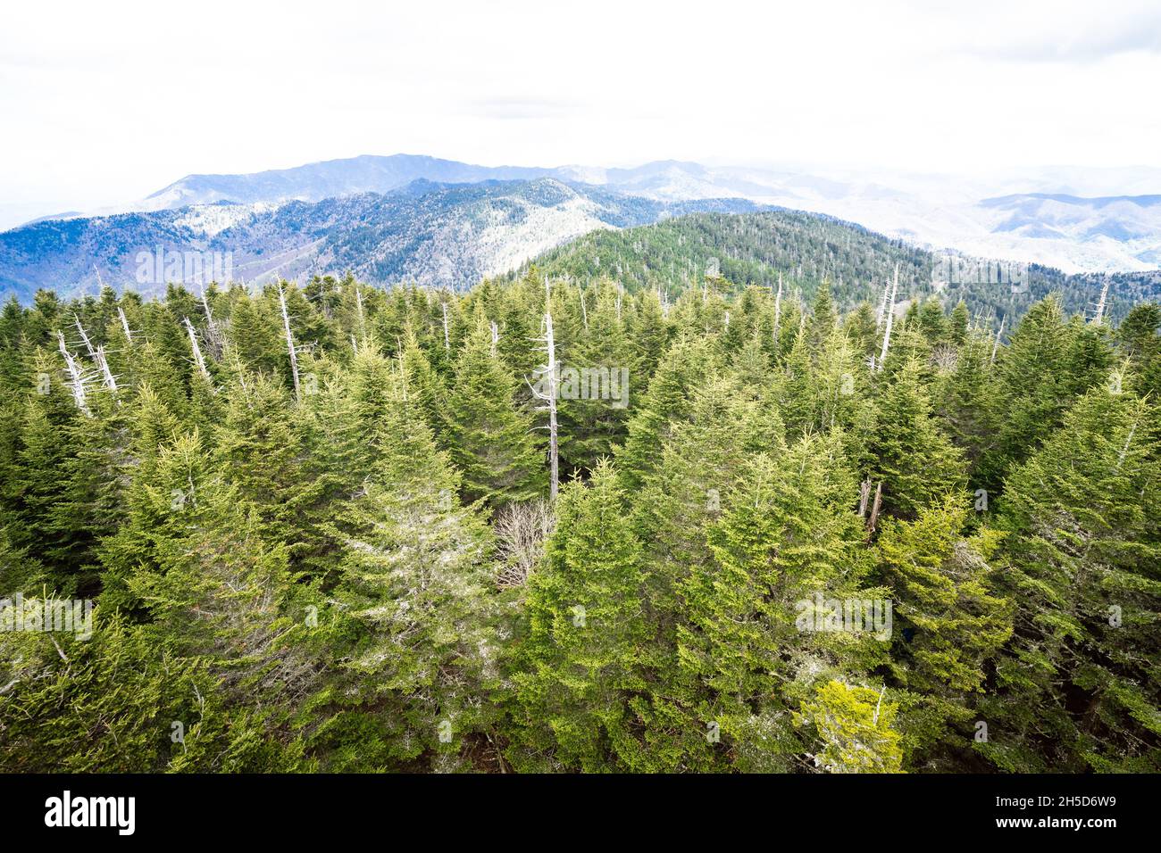 A beautiful view in the Great Smoky Mountains from the Clingmans Dome overlook Stock Photo