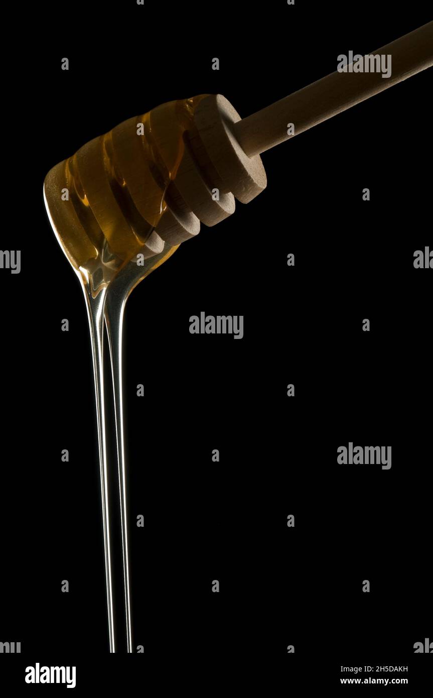 Closeup of honey dipper with golden honey dripping off, double strand