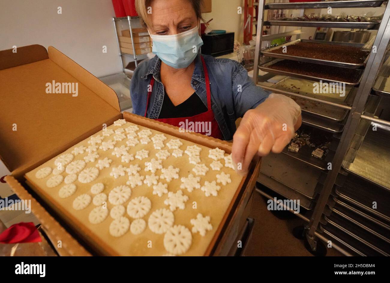 Olivette, United States. 08th Nov, 2021. Owner Shulman searches