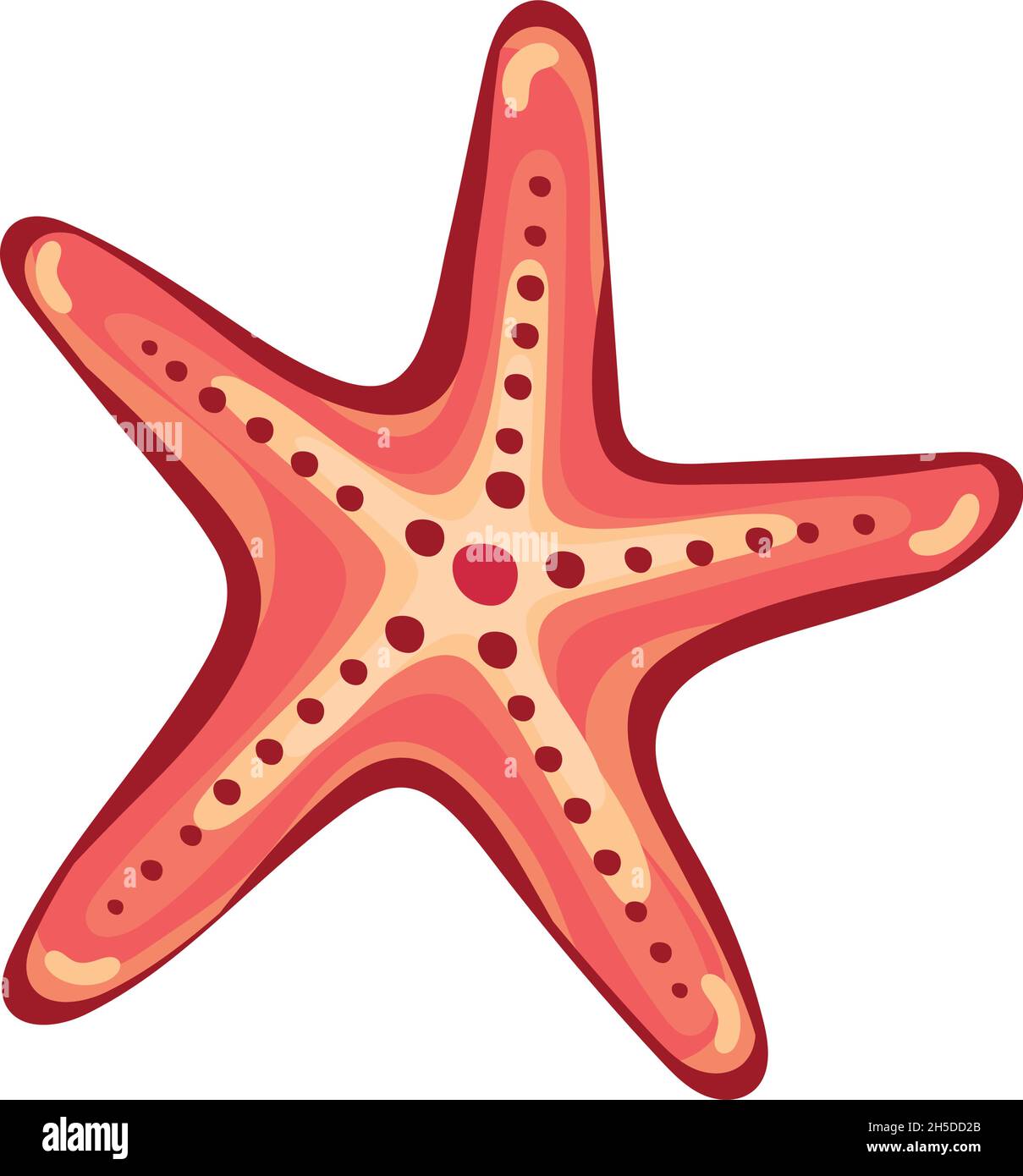 starfish sea shell Stock Vector Image & Art - Alamy