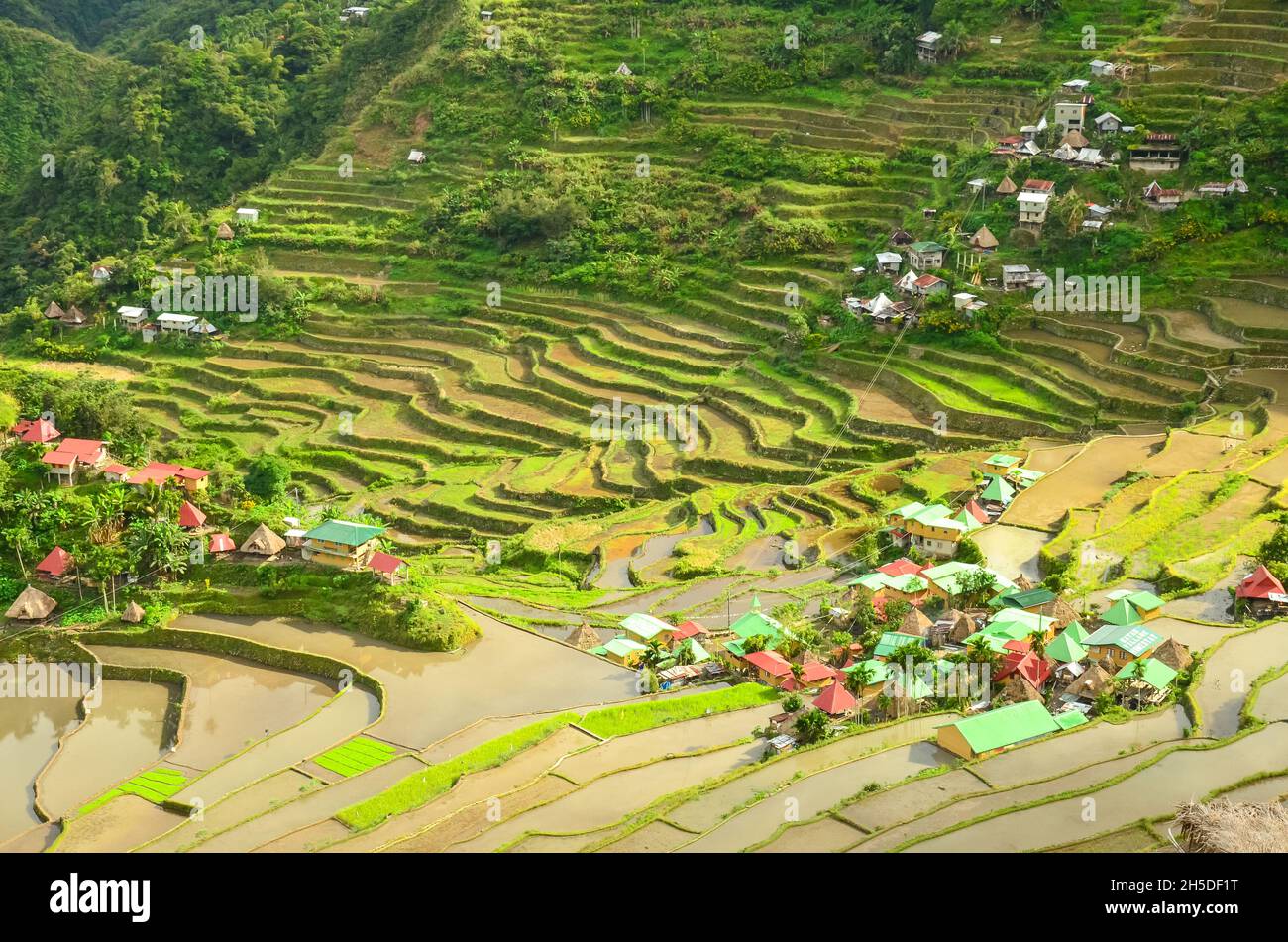 Aerial view of small, wooden houses in Batad village in Luzon ...
