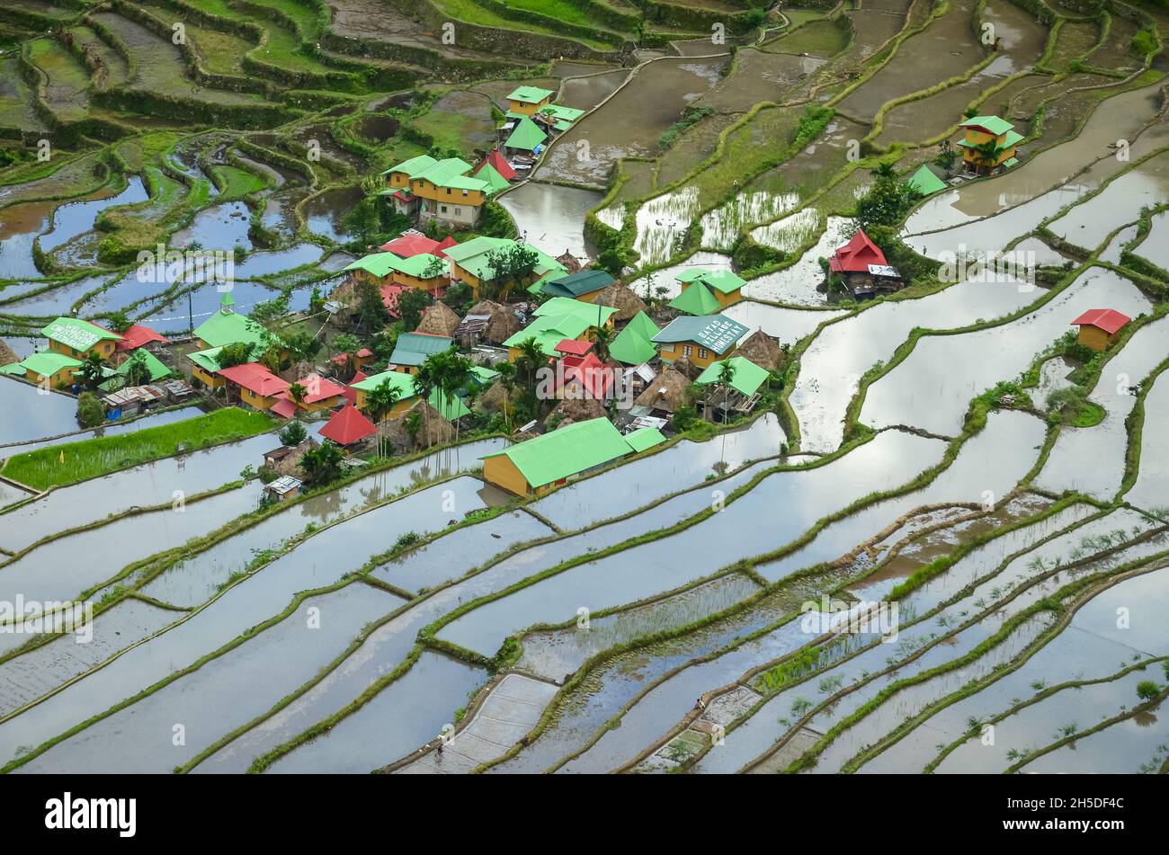 Aerial view of small, wooden houses in Batad village in Luzon ...