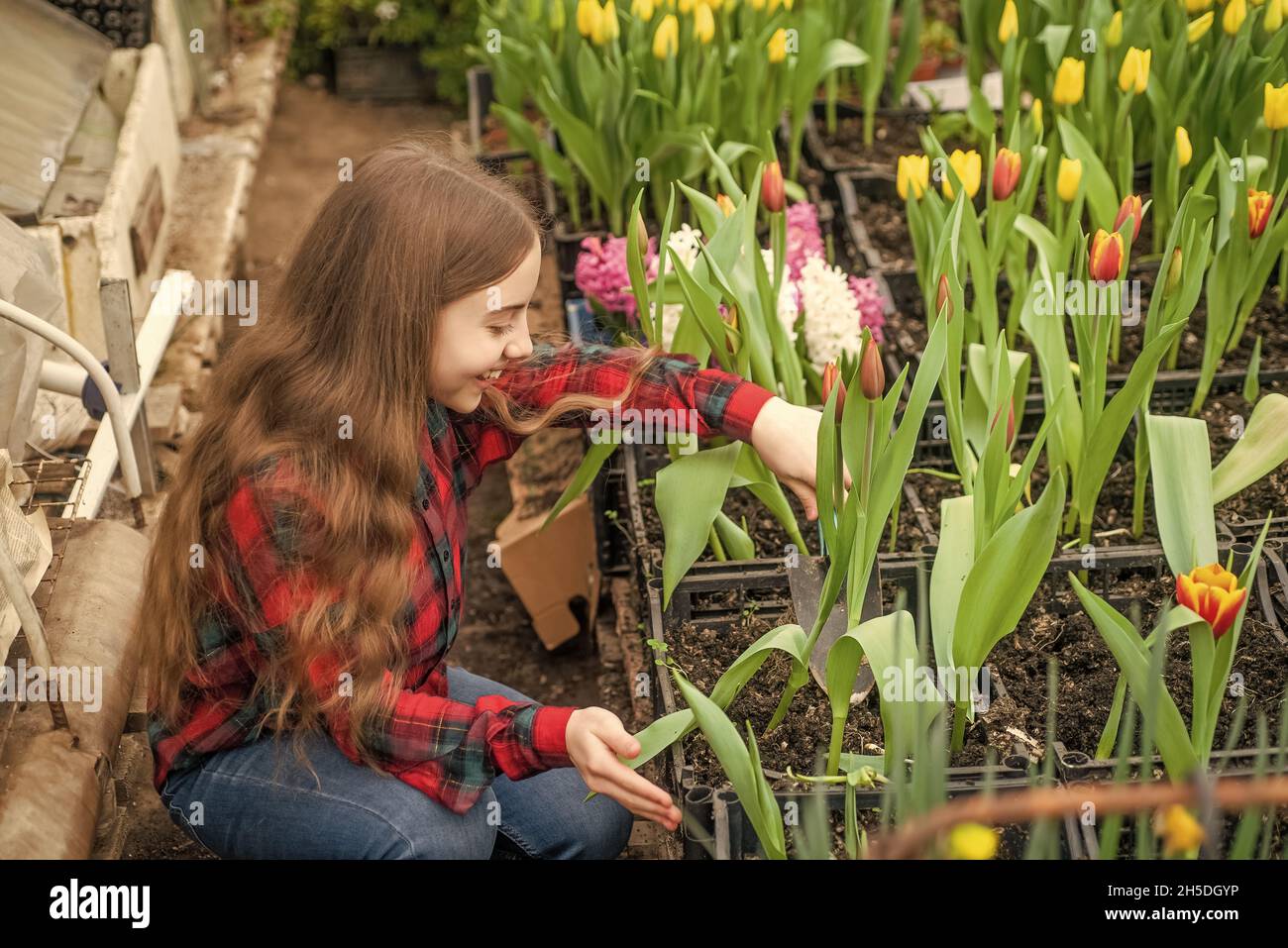 Teen girl plant in greenhouse hi-res stock photography and images - Alamy