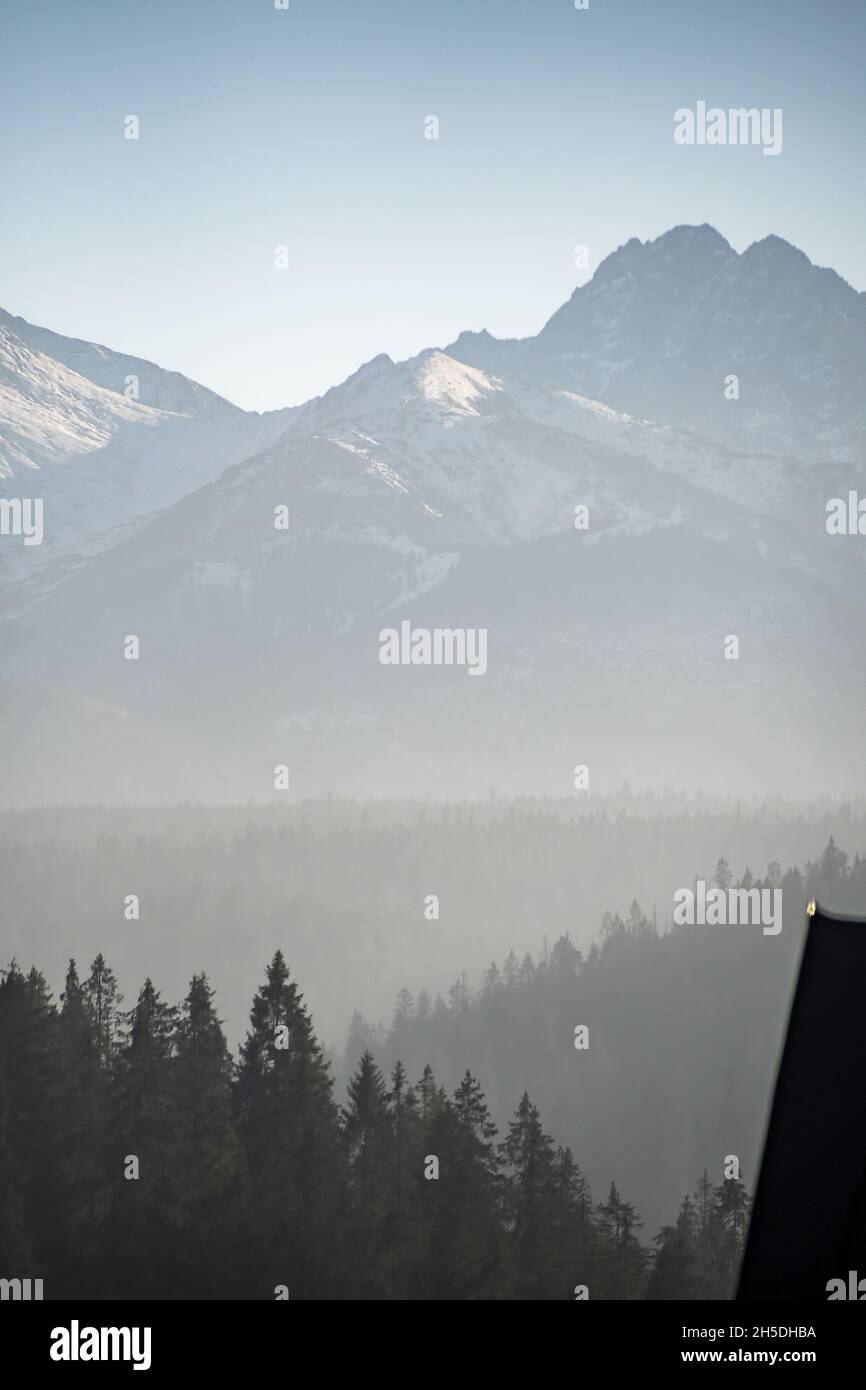 Scenic view of a foggy forest in the countryside Stock Photo - Alamy