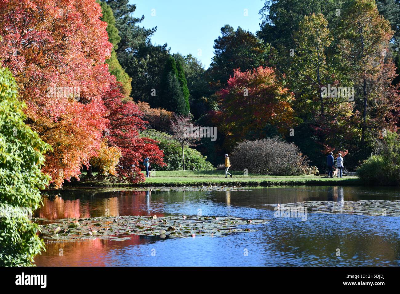 Trees and parks in Autumn colours Stock Photo - Alamy