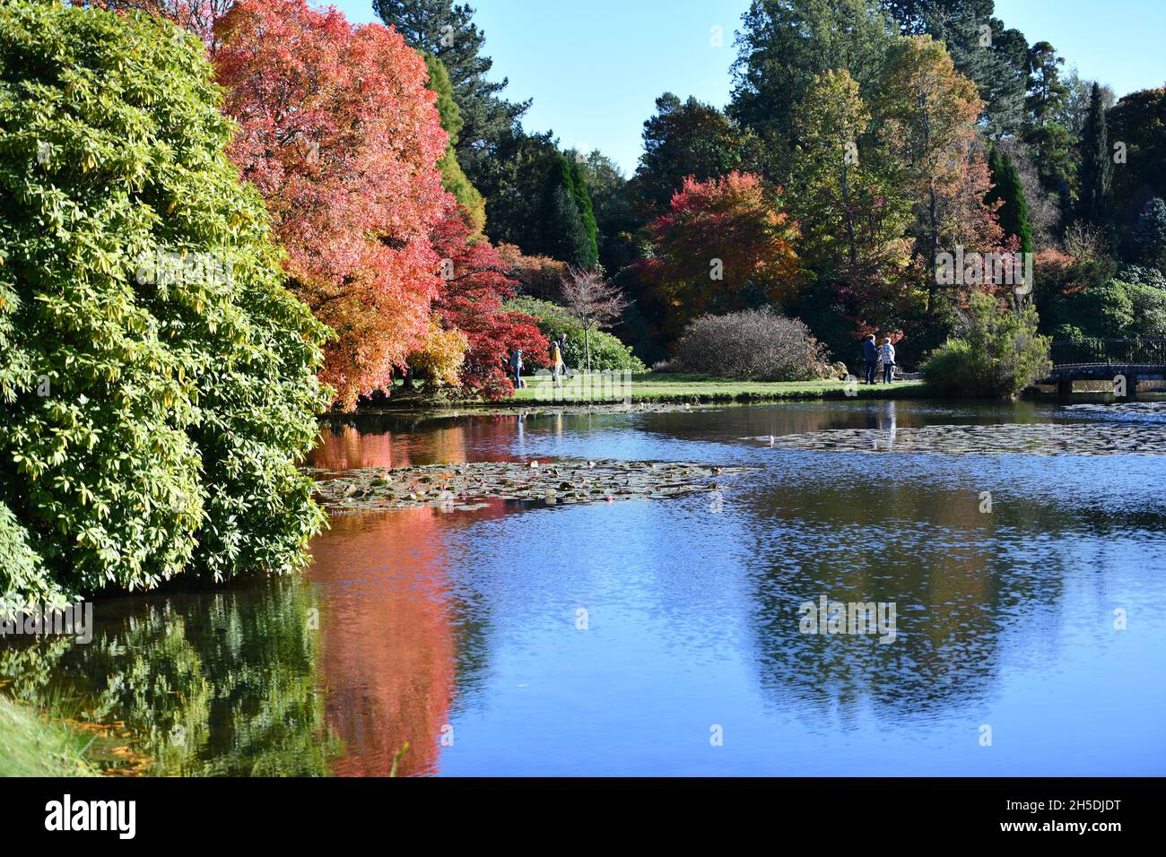 Trees and parks in Autumn colours Stock Photo - Alamy