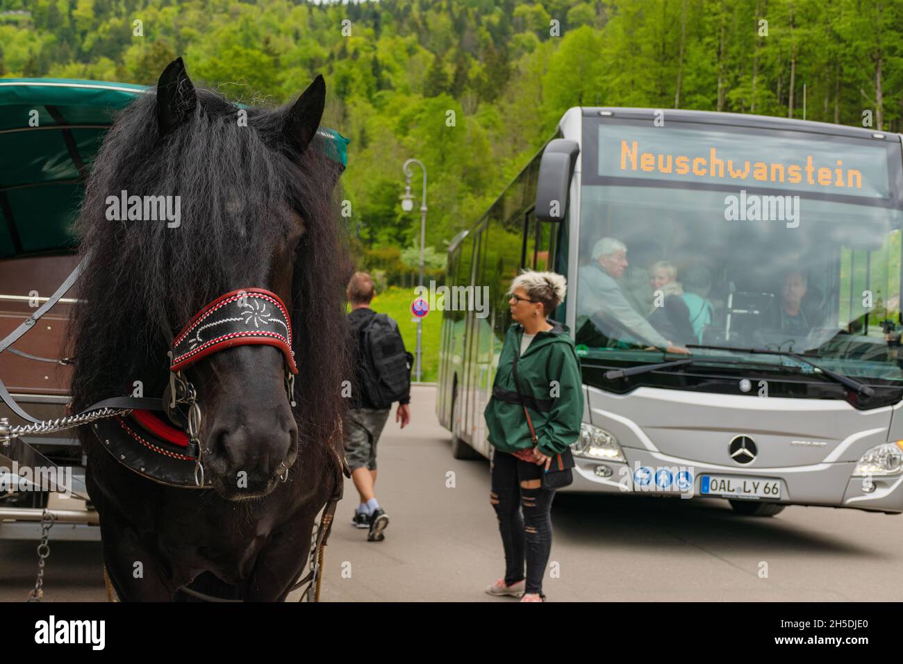 26 May 2019 Fussen, Germany - horse carriages waiting for tourists near Neuschwanstein castle and Hohenschwangau castle. Stock Photo