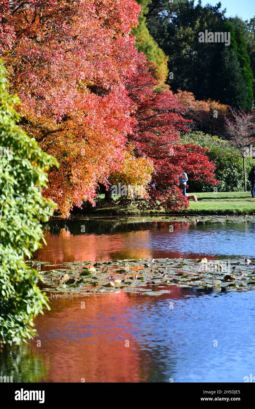Trees and parks in Autumn colours Stock Photo - Alamy