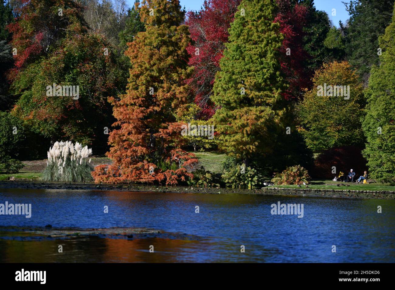 Trees and parks in Autumn colours Stock Photo - Alamy