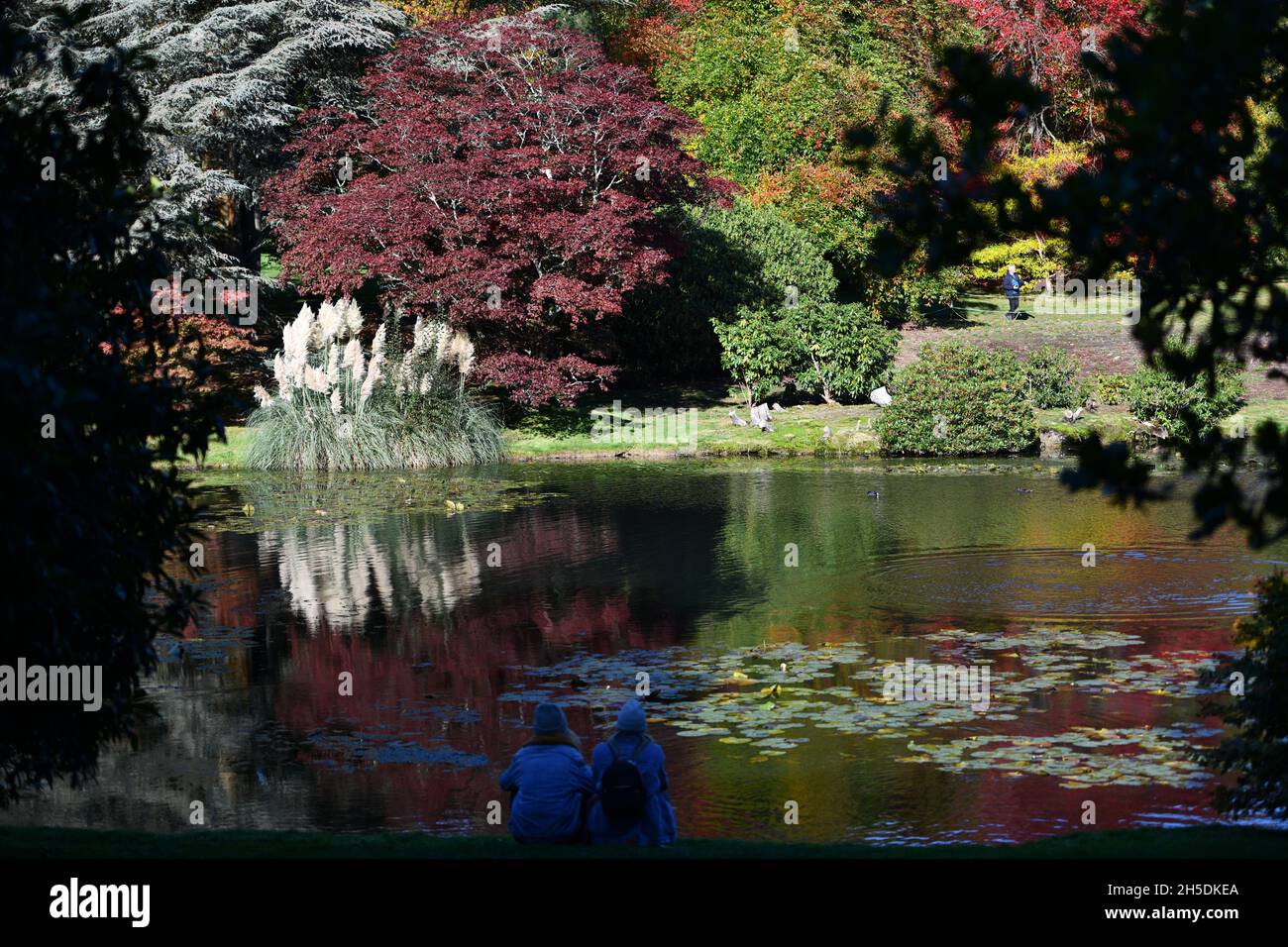 Trees and parks in Autumn colours Stock Photo - Alamy