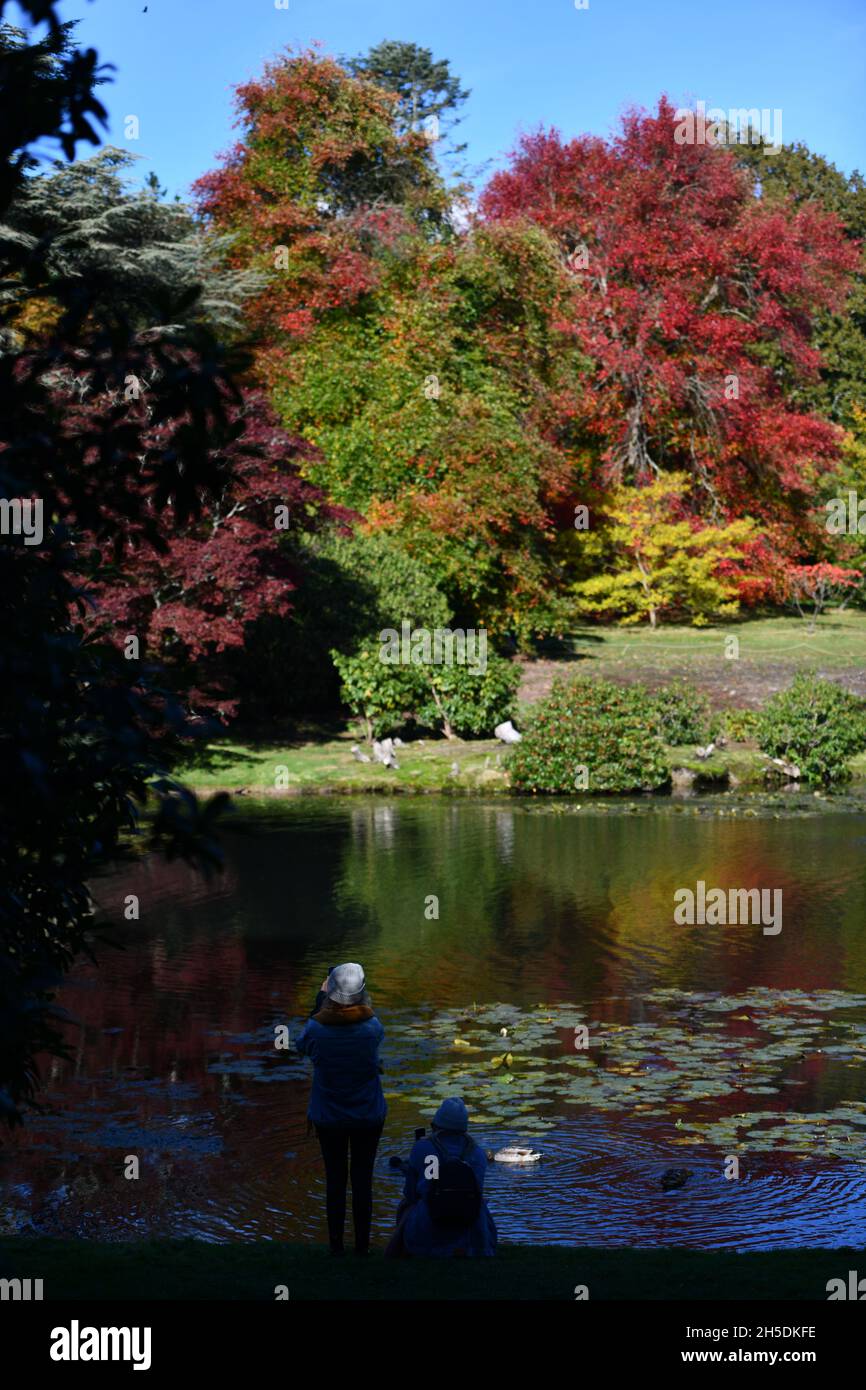 Trees and parks in Autumn colours Stock Photo - Alamy