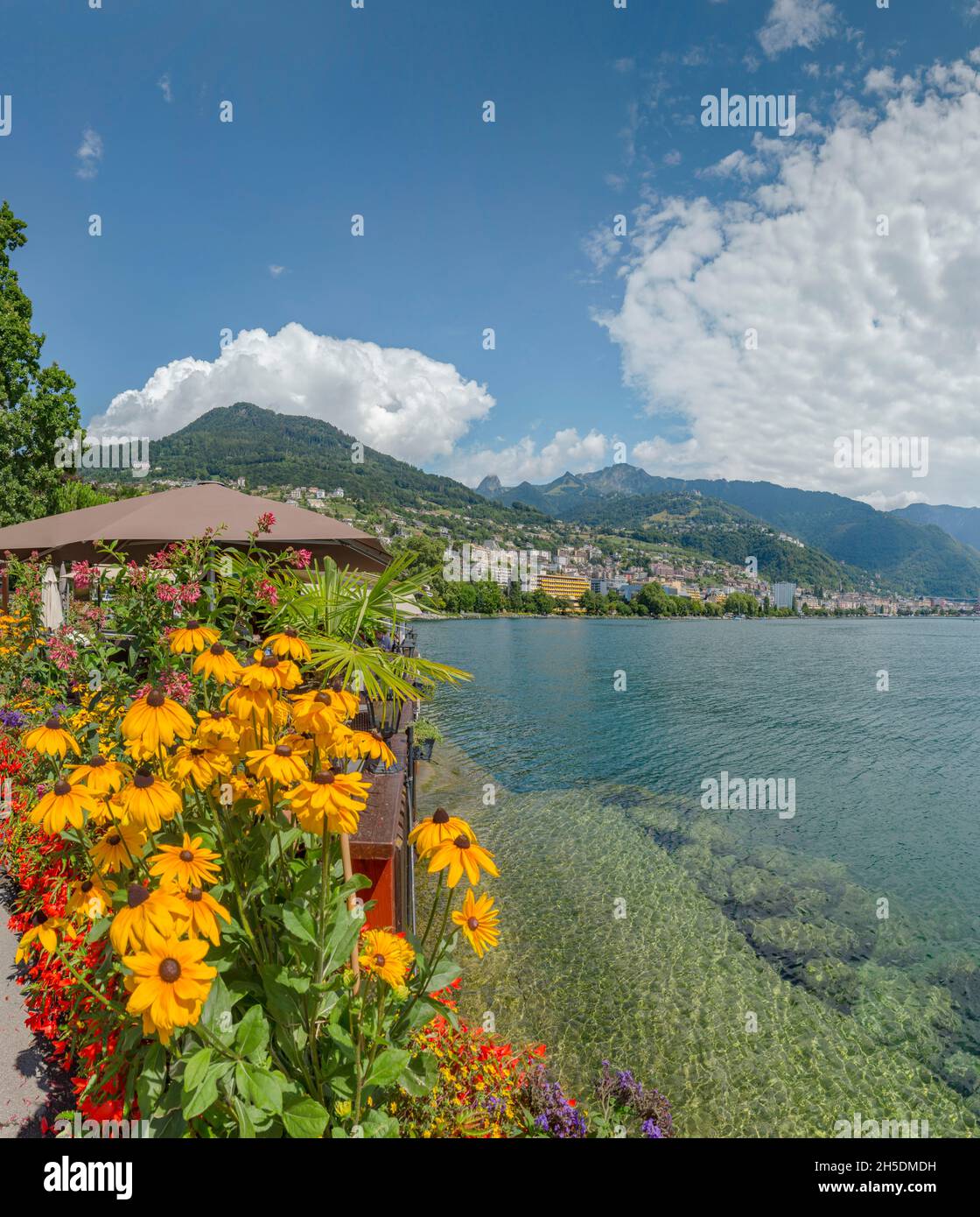 Flower box at the promenade along Lac Léman *** Local Caption ***  Clarens, Switzerland, city, village, water, flowers, summer, mountains, lake, Stock Photo