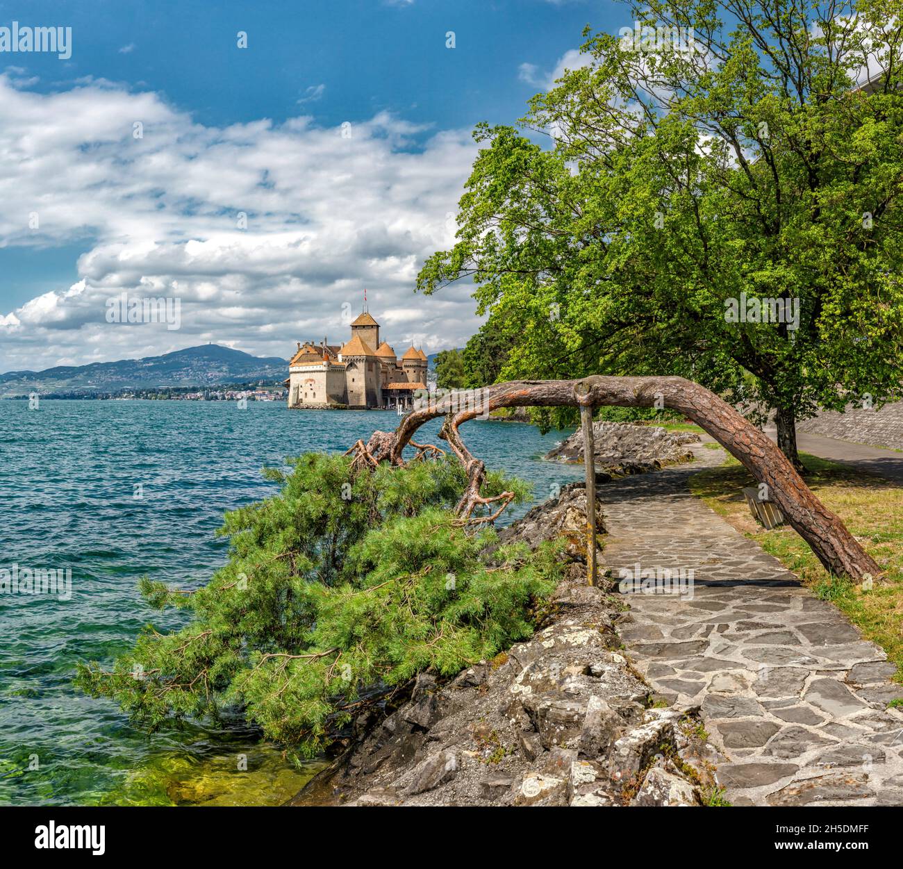 Chateau Chillon at the Lac Léman *** Local Caption ***  Veytaux, Switzerland, castle, water, trees, summer, mountains, lake, Stock Photo
