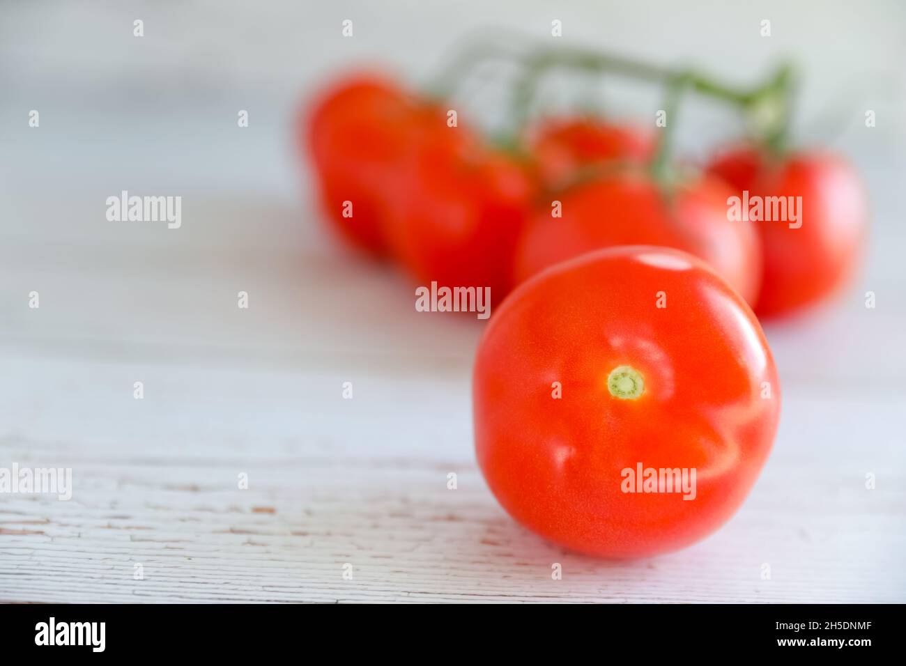 Freshly picked home grown organic vine ripened healthy tomatoes. Stock Photo