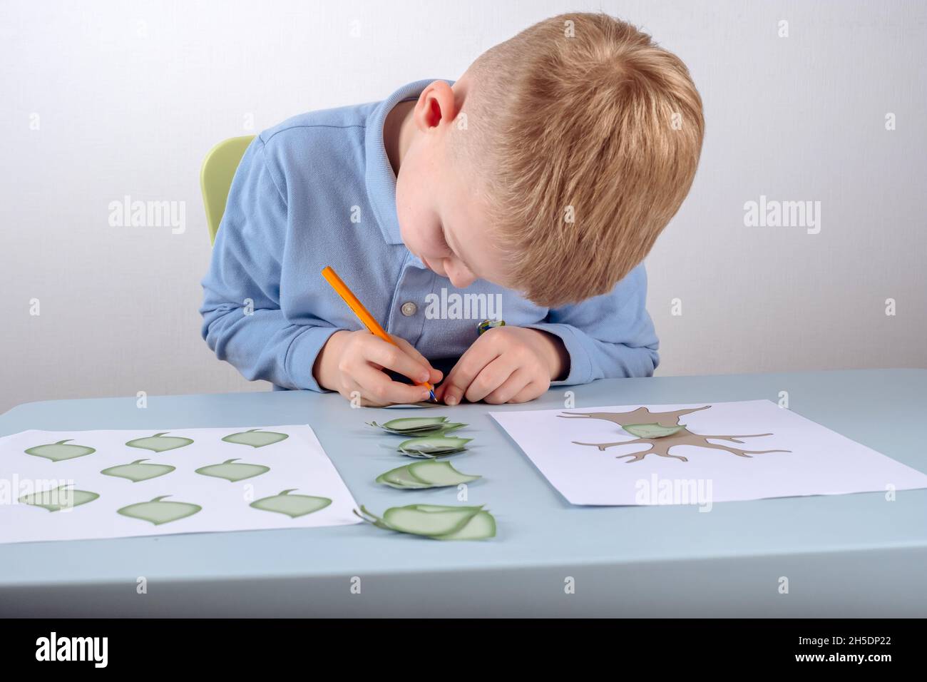 The child enters the names of relatives to create a family tree. High quality photo Stock Photo