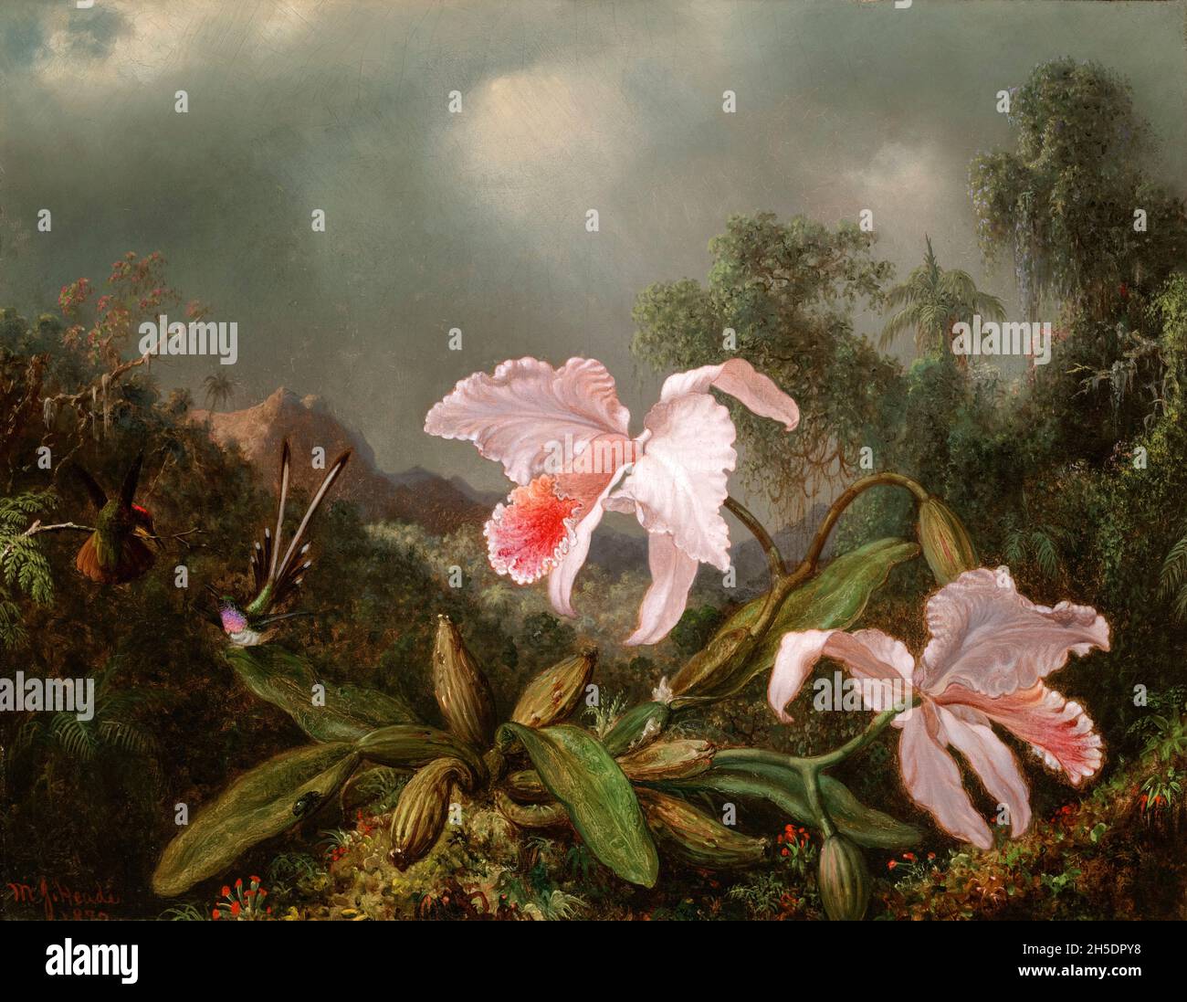 Martin Johnson Heade, Jungle Orchids and Hummingbirds, painting, 1872 Stock Photo