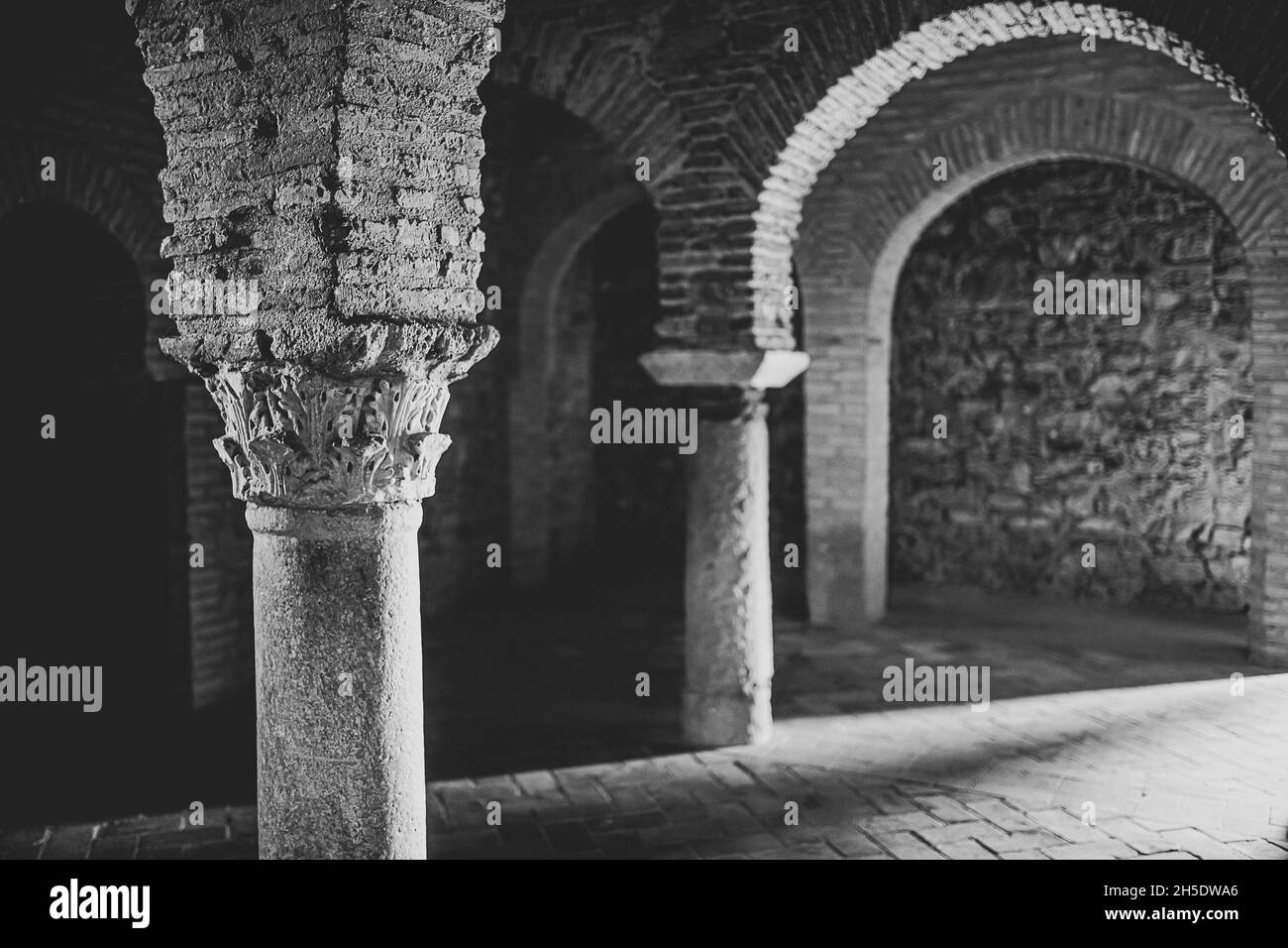 Grayscale shot of the interior columns of the famous old historic ...