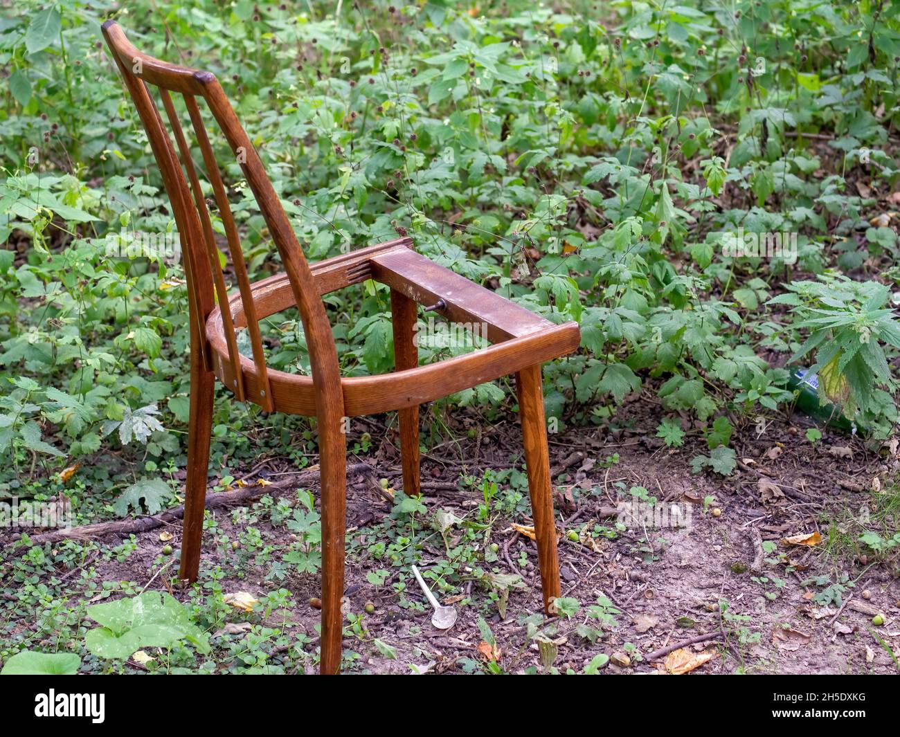 broken wooden chair in the woods, in summer Stock Photo Alamy